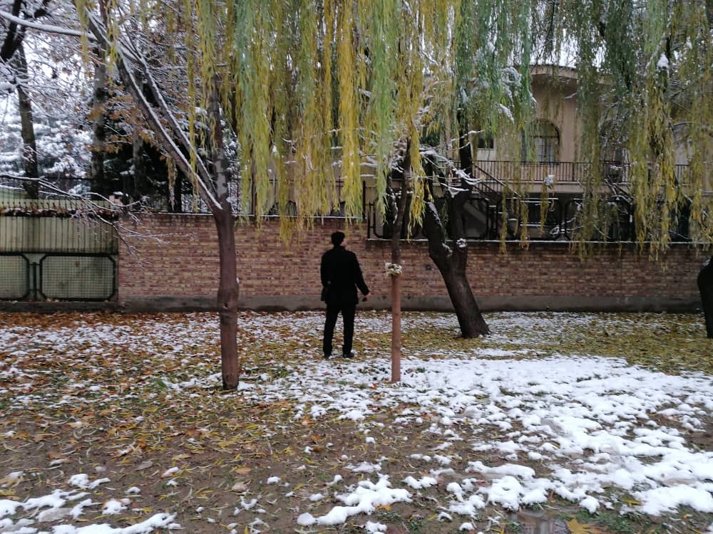 imagepark123 (29).jpeg