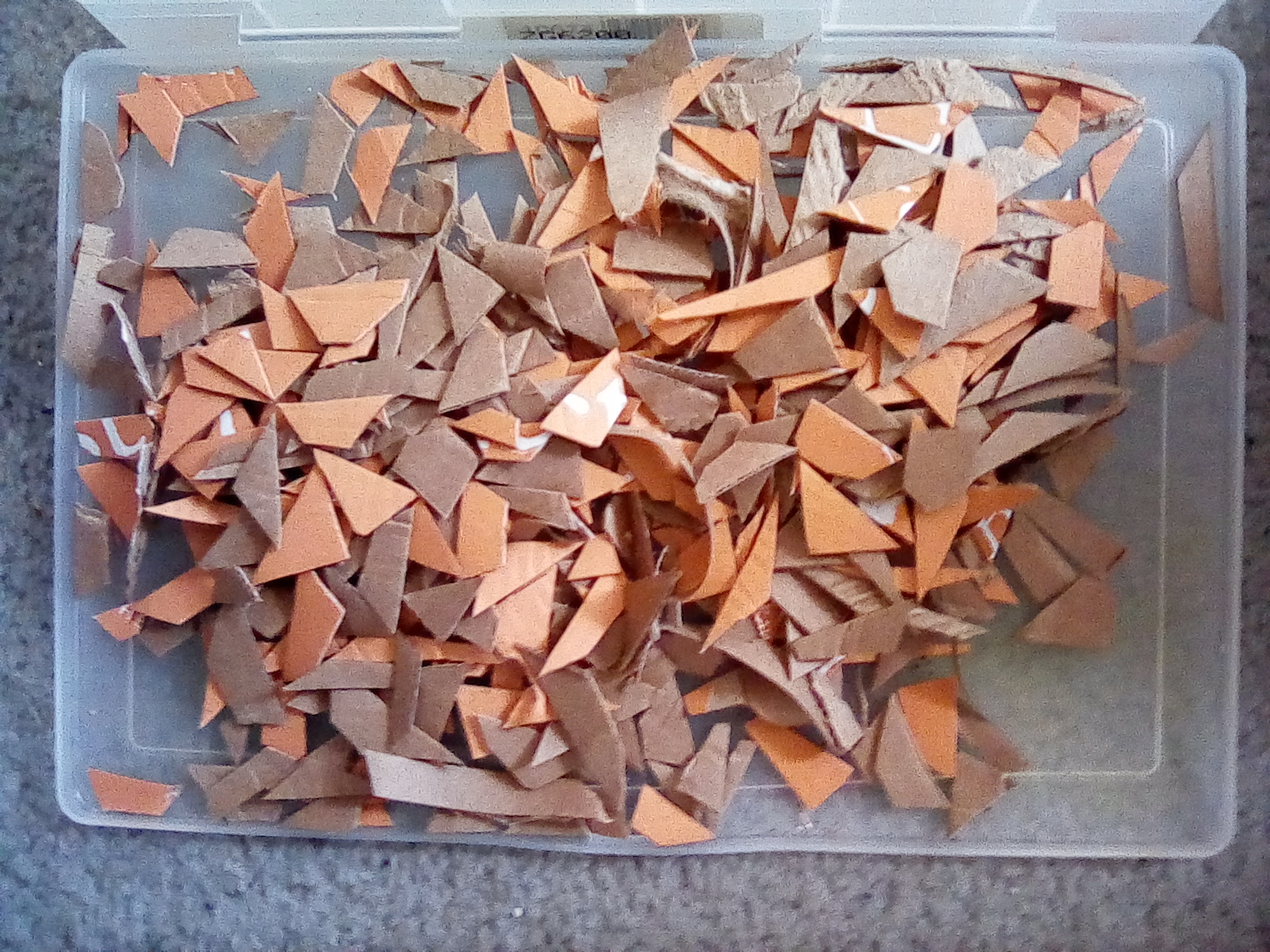 cardboard.jpg