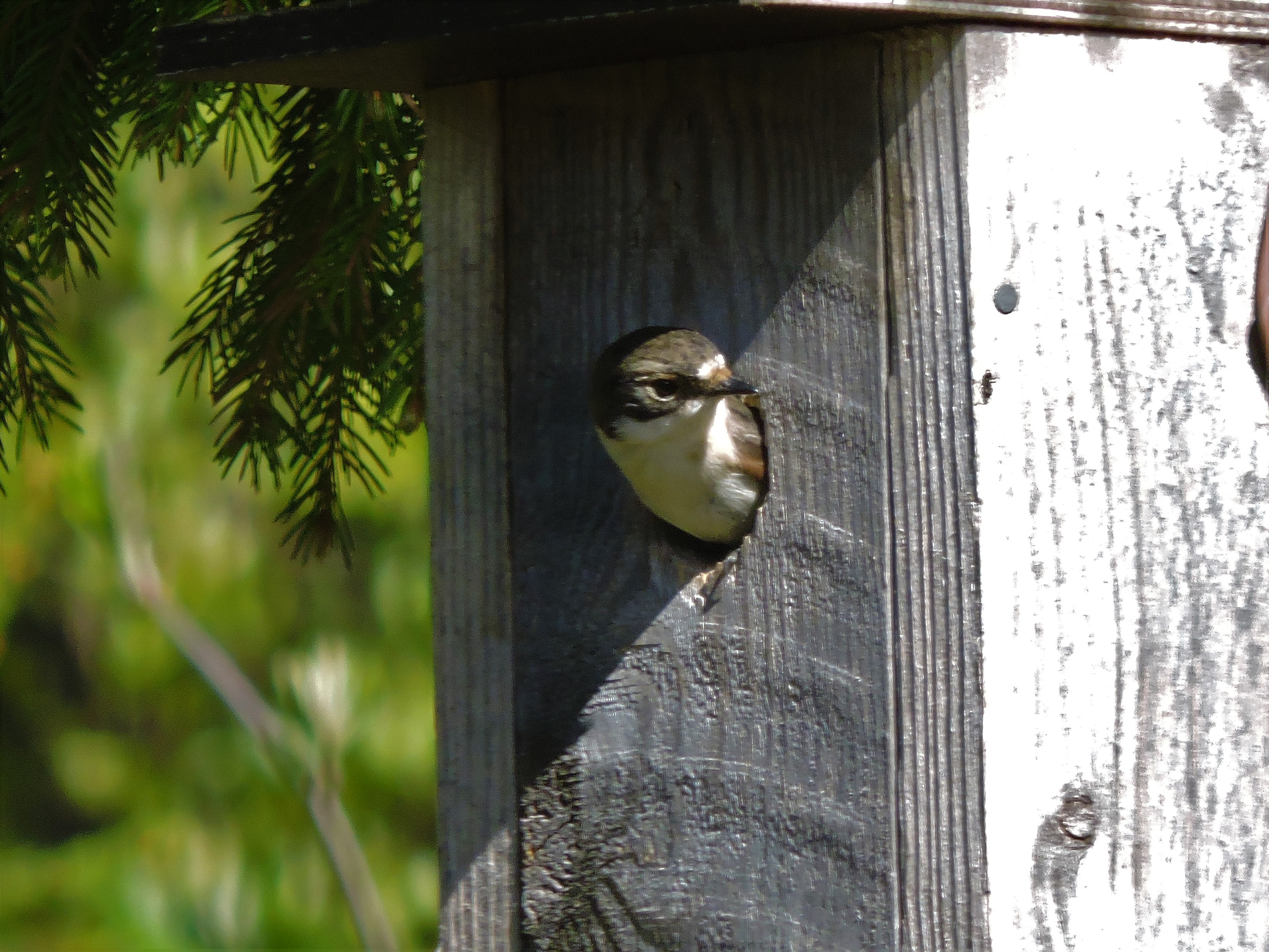 DSCN4180.JPG