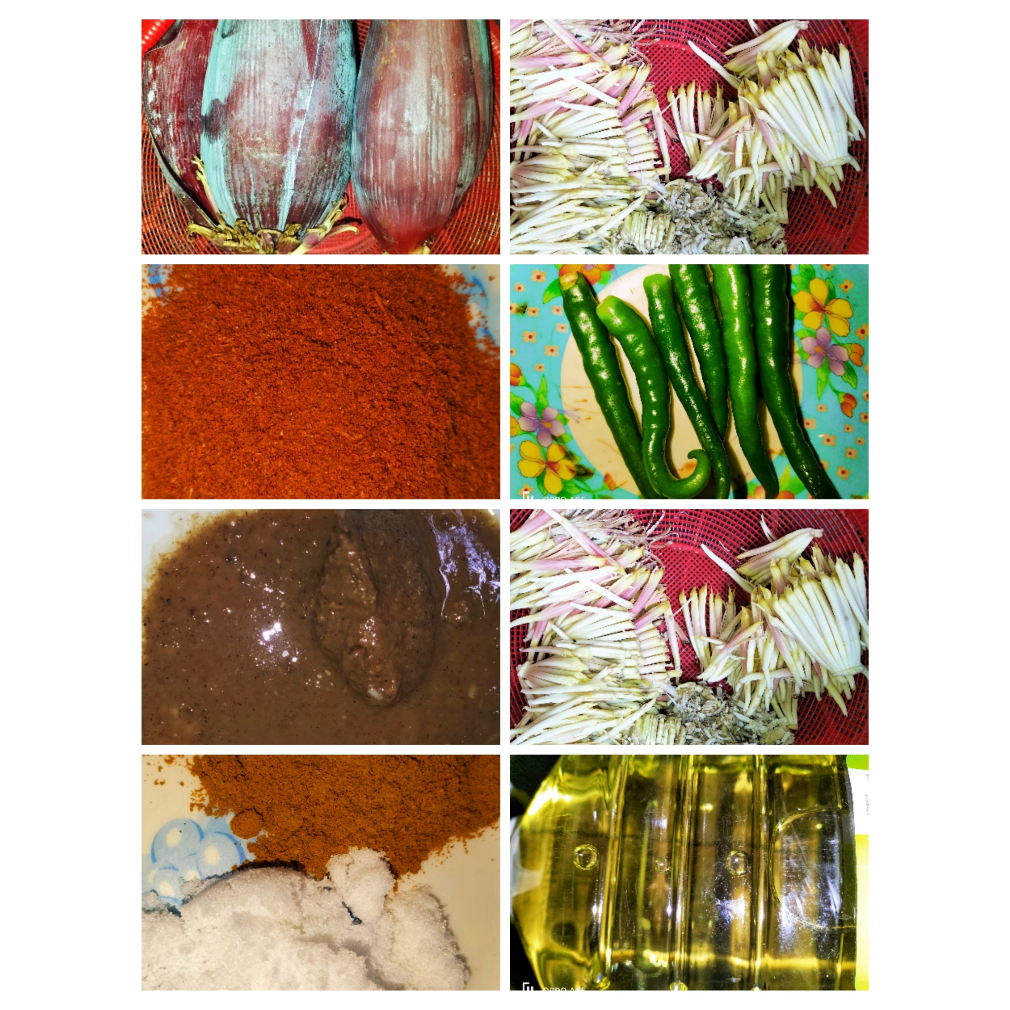 PhotoCollage_1705227807130.jpg
