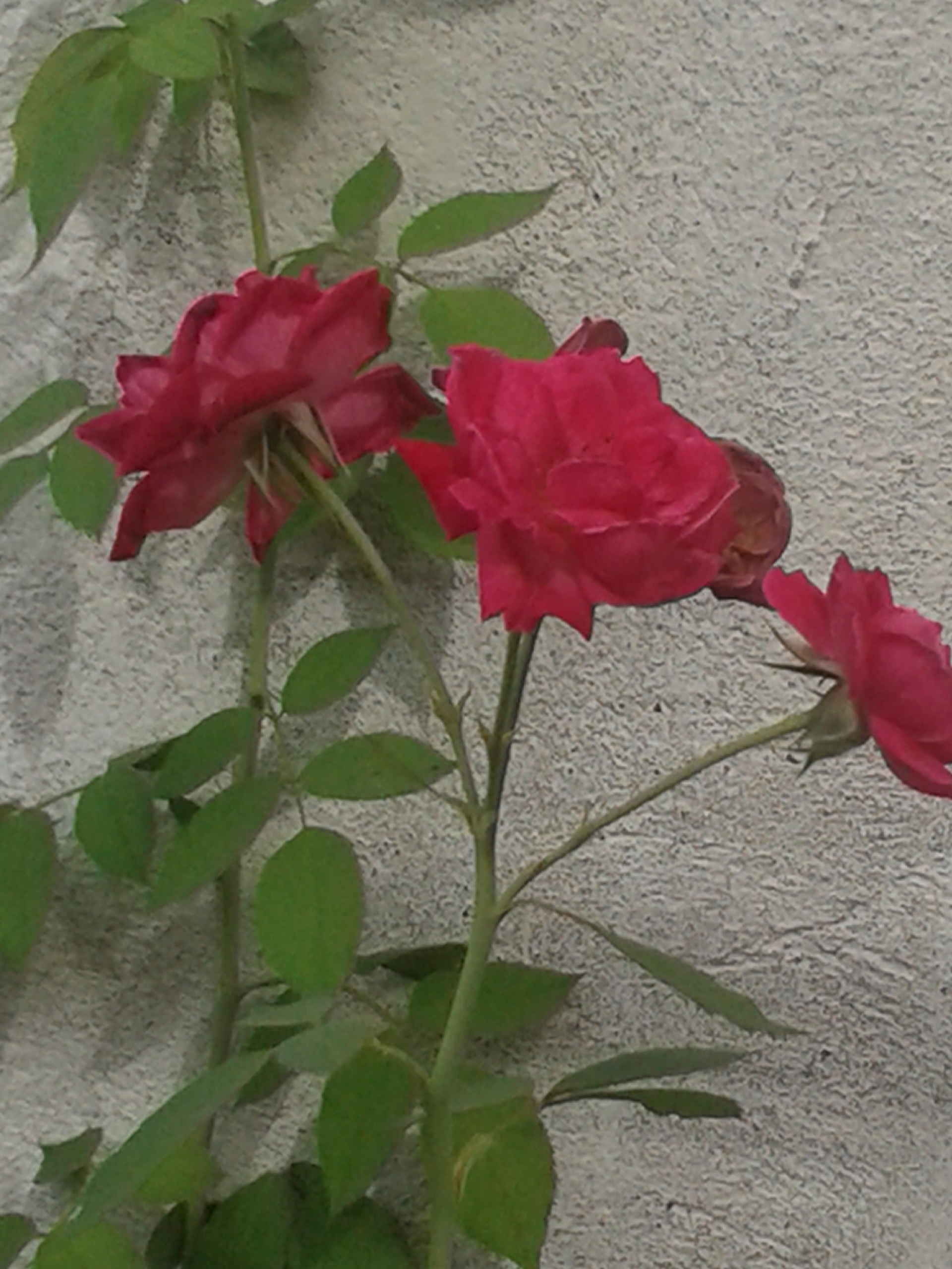 20201101_145019.jpg