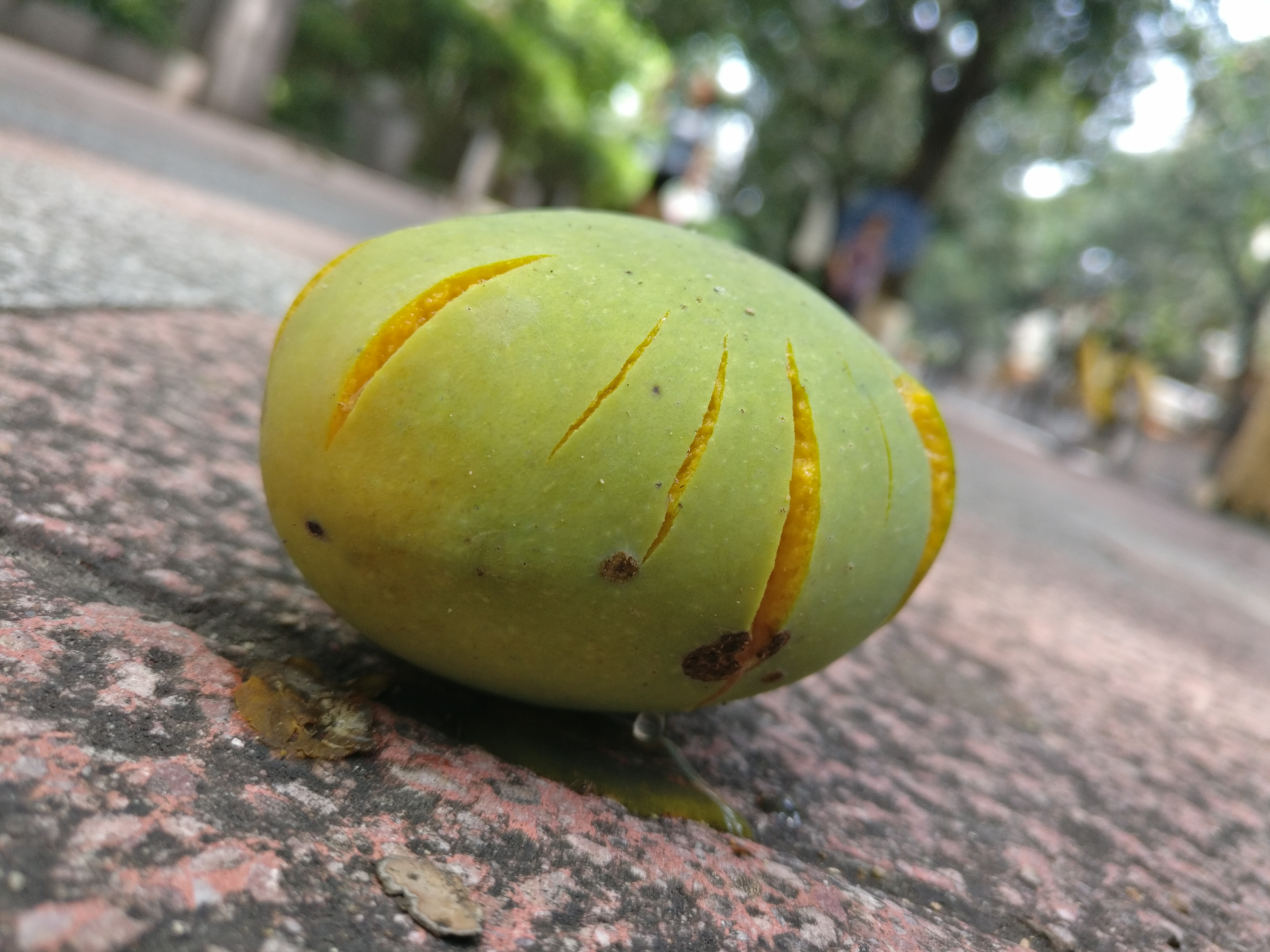 IMG_20180610_105146.jpg