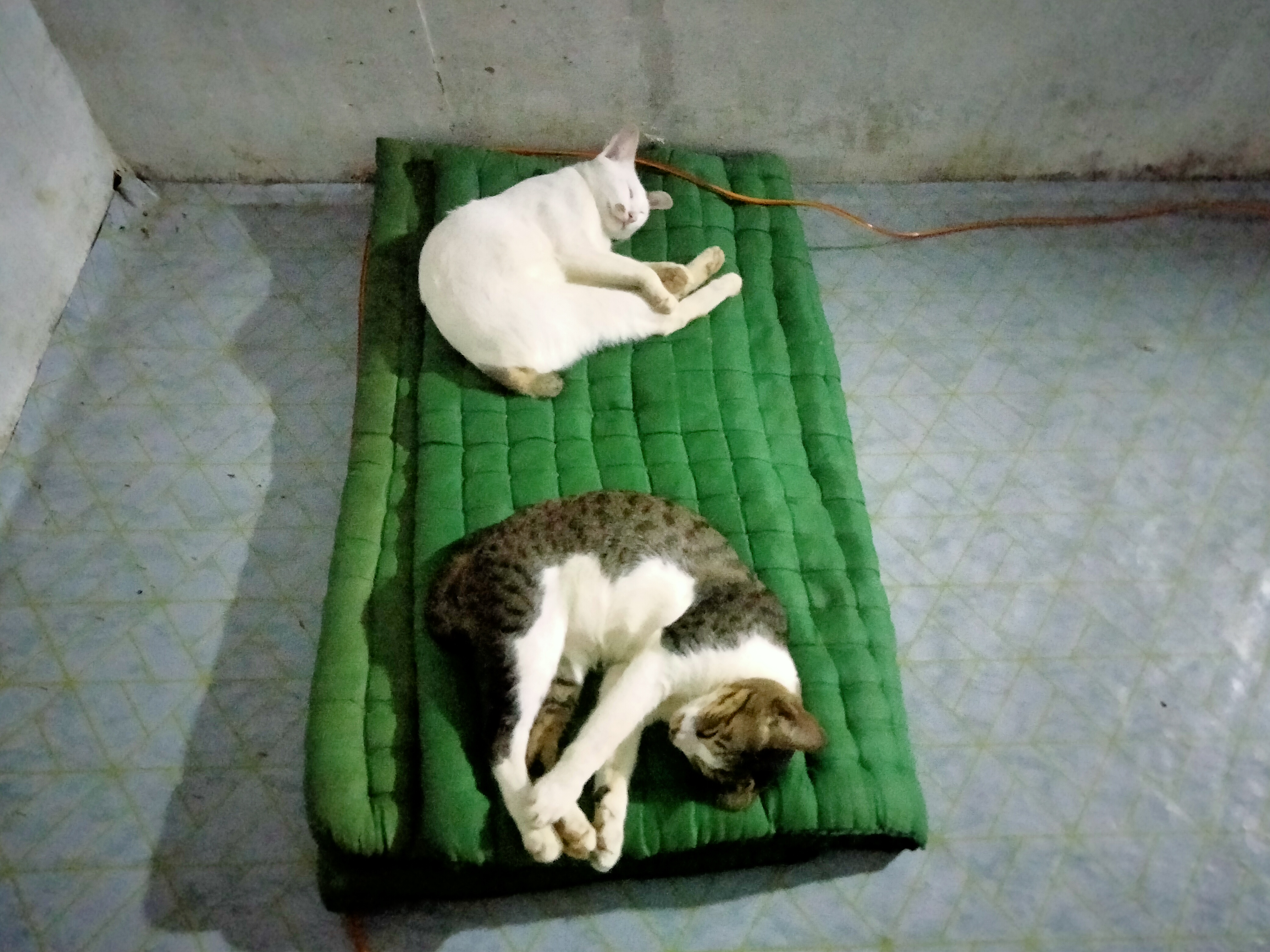 IMG20260718211225.jpg