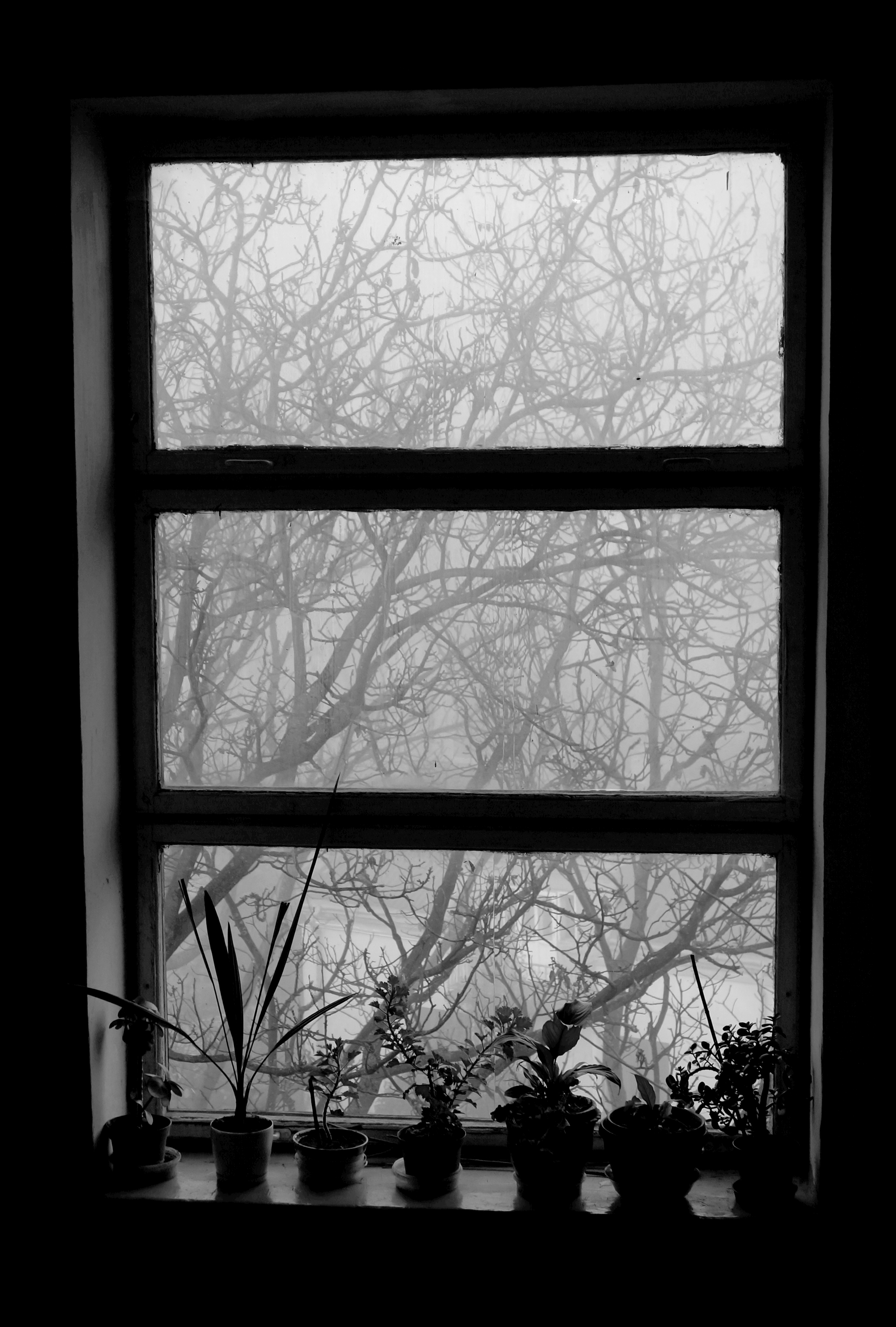 The-fog-outside-the-window.png