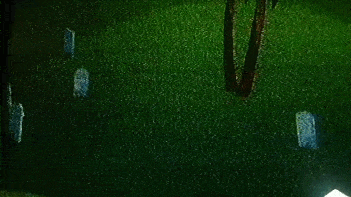 WhatsApp Video 2021-07-09 at 5.55.02 PM.gif