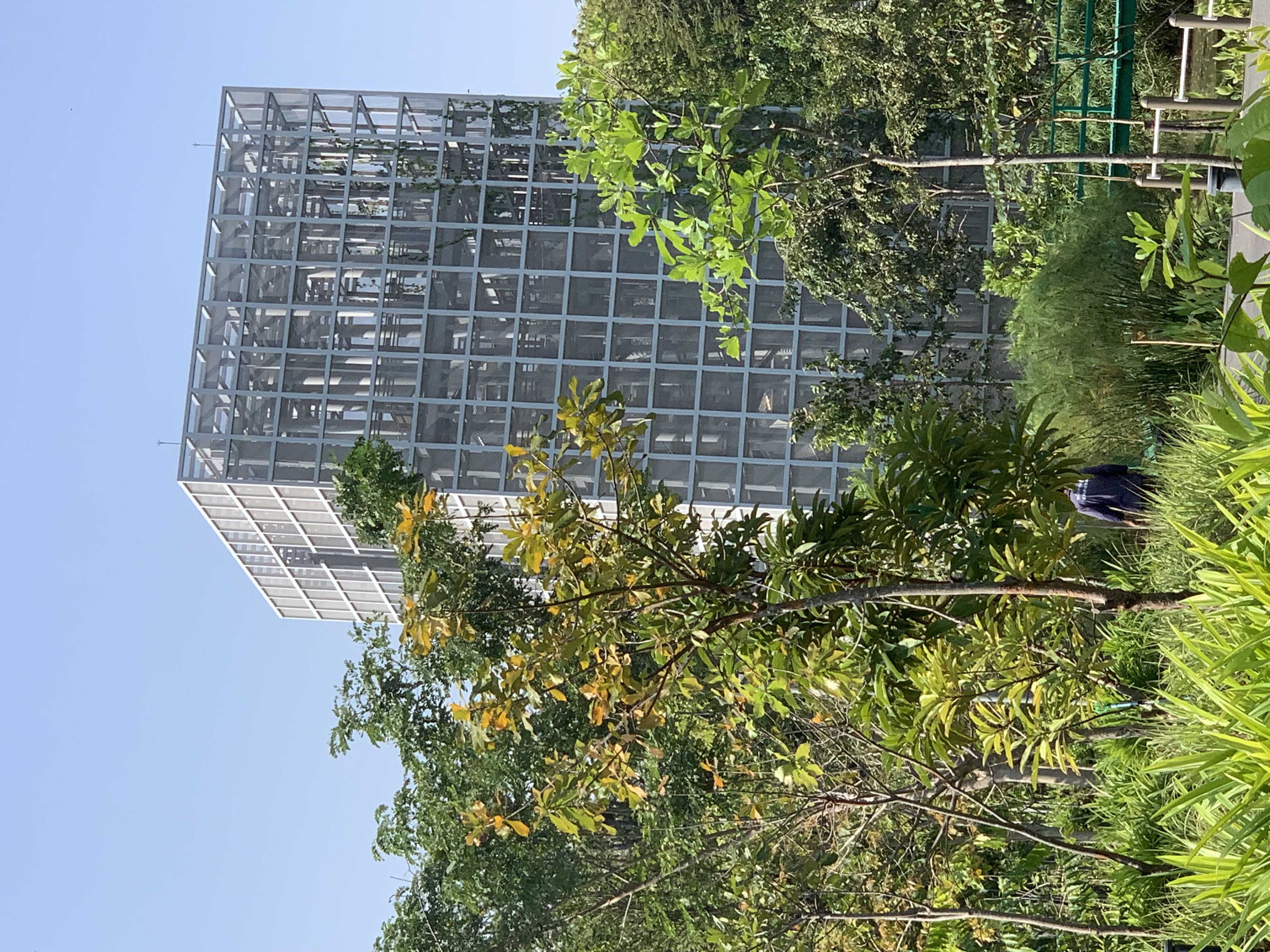 Queen Sirikit Park17.jpg
