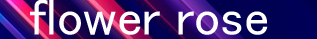 11.png