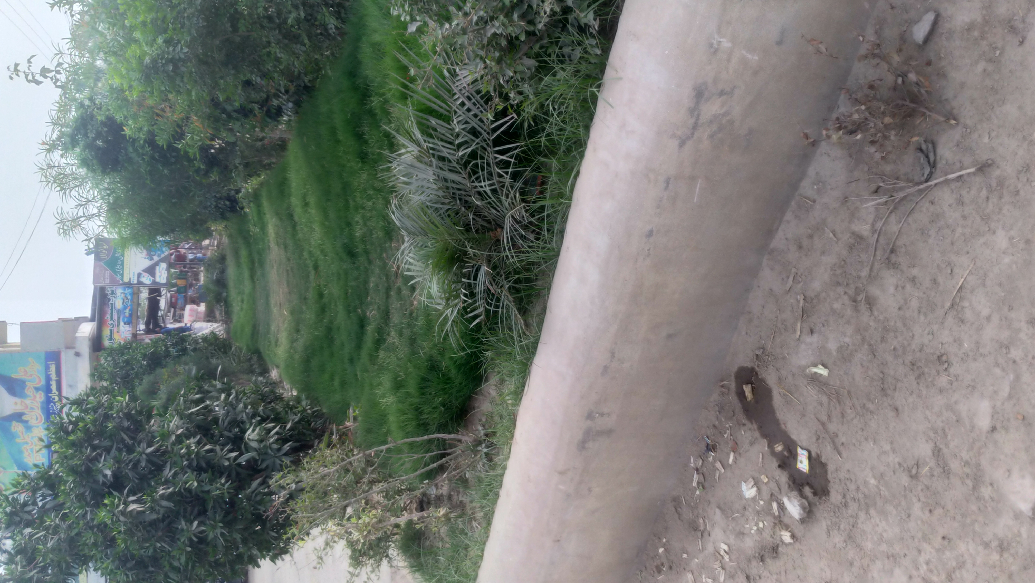 P_20210315_164059_vHDR_Auto.jpg