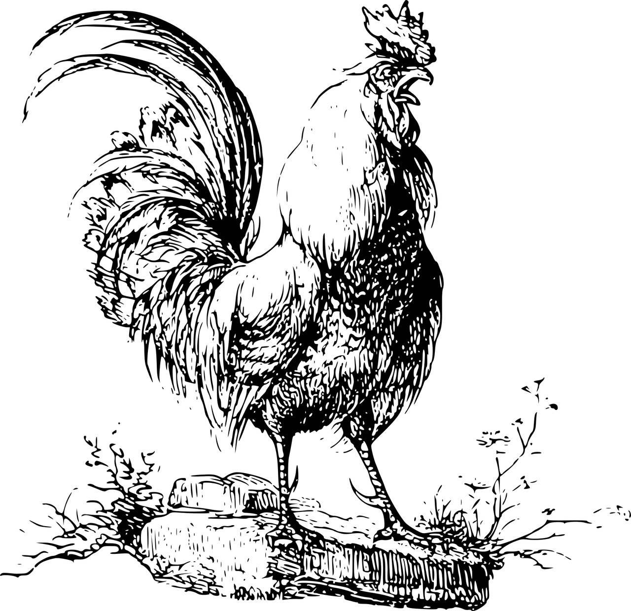 animal-1296952_1280.png