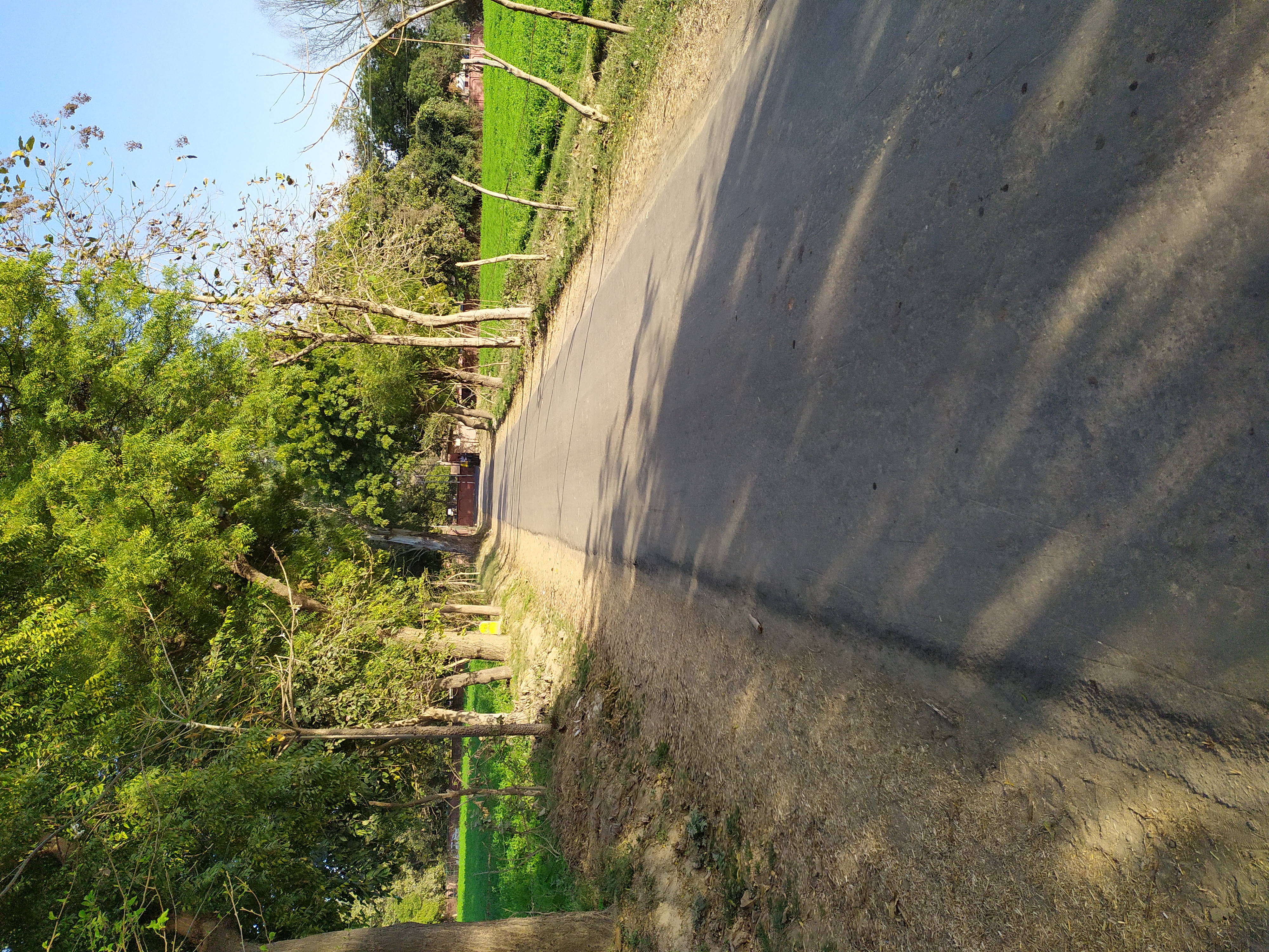 IMG_20220221_164734.jpg