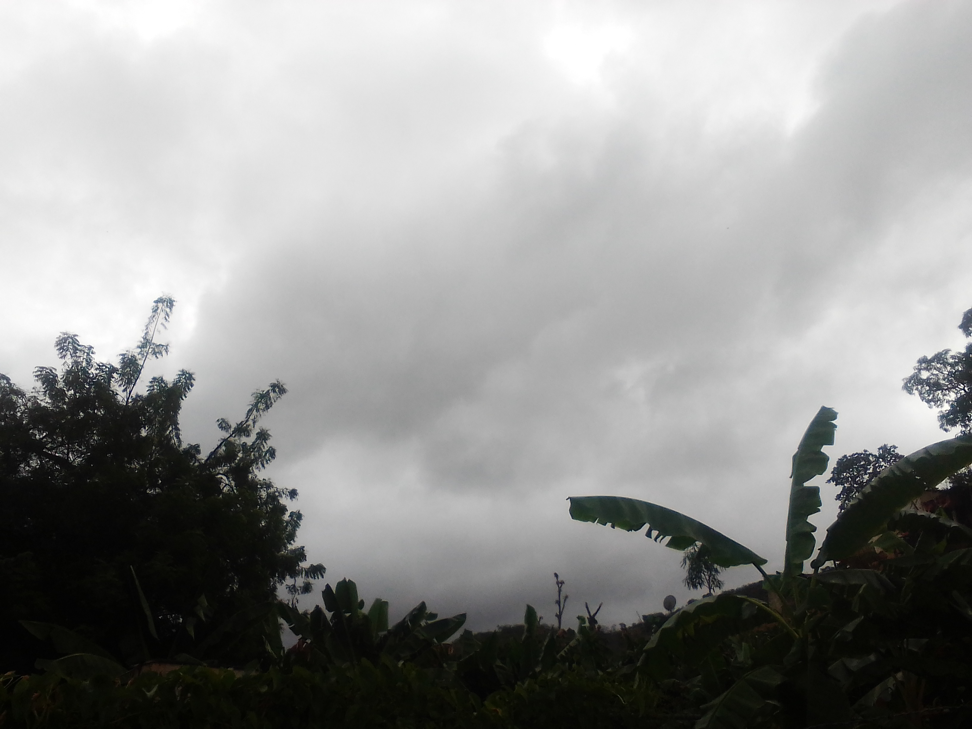 IMG_20211214_085325.jpg