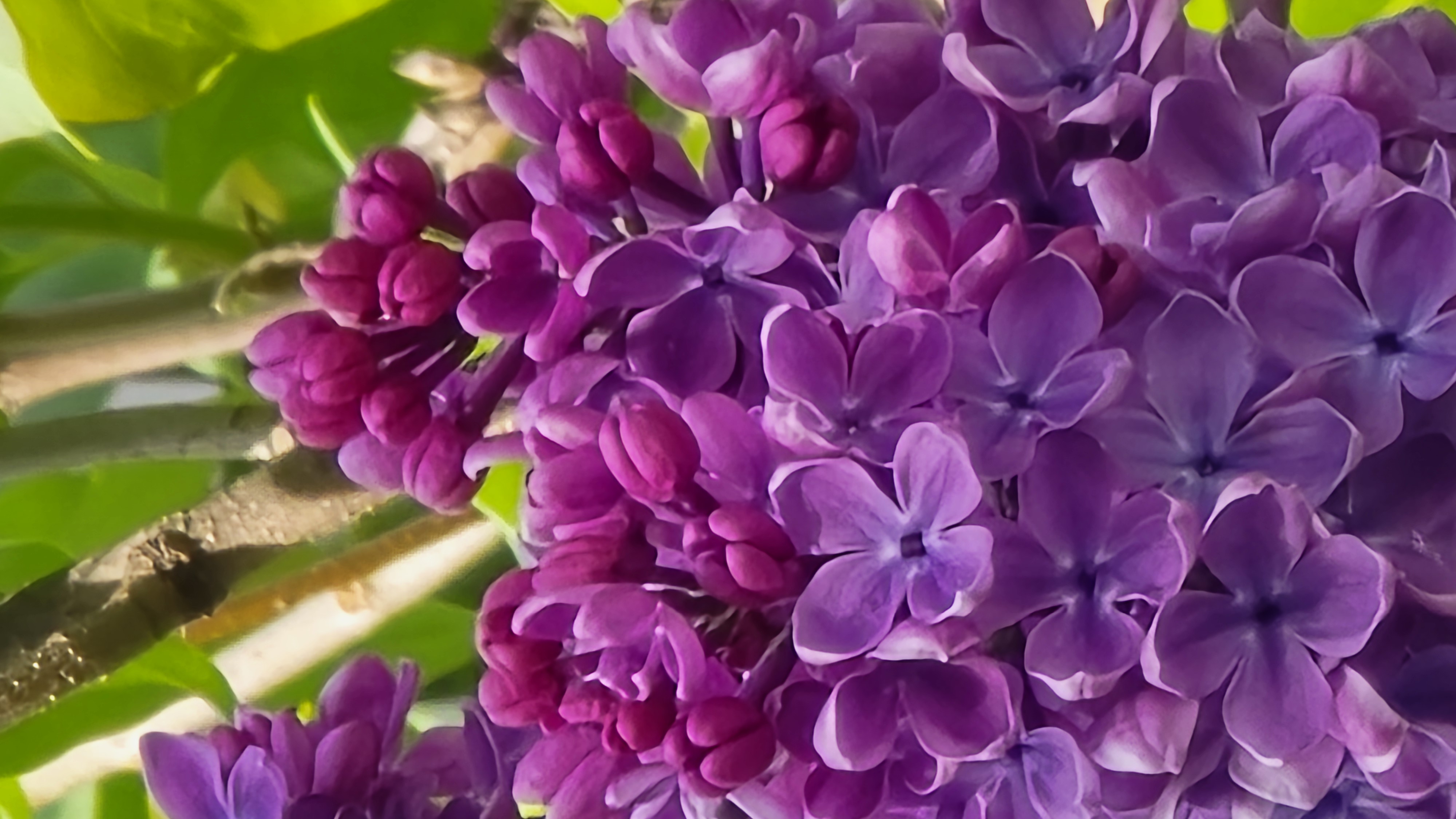 20260430_133746.jpg