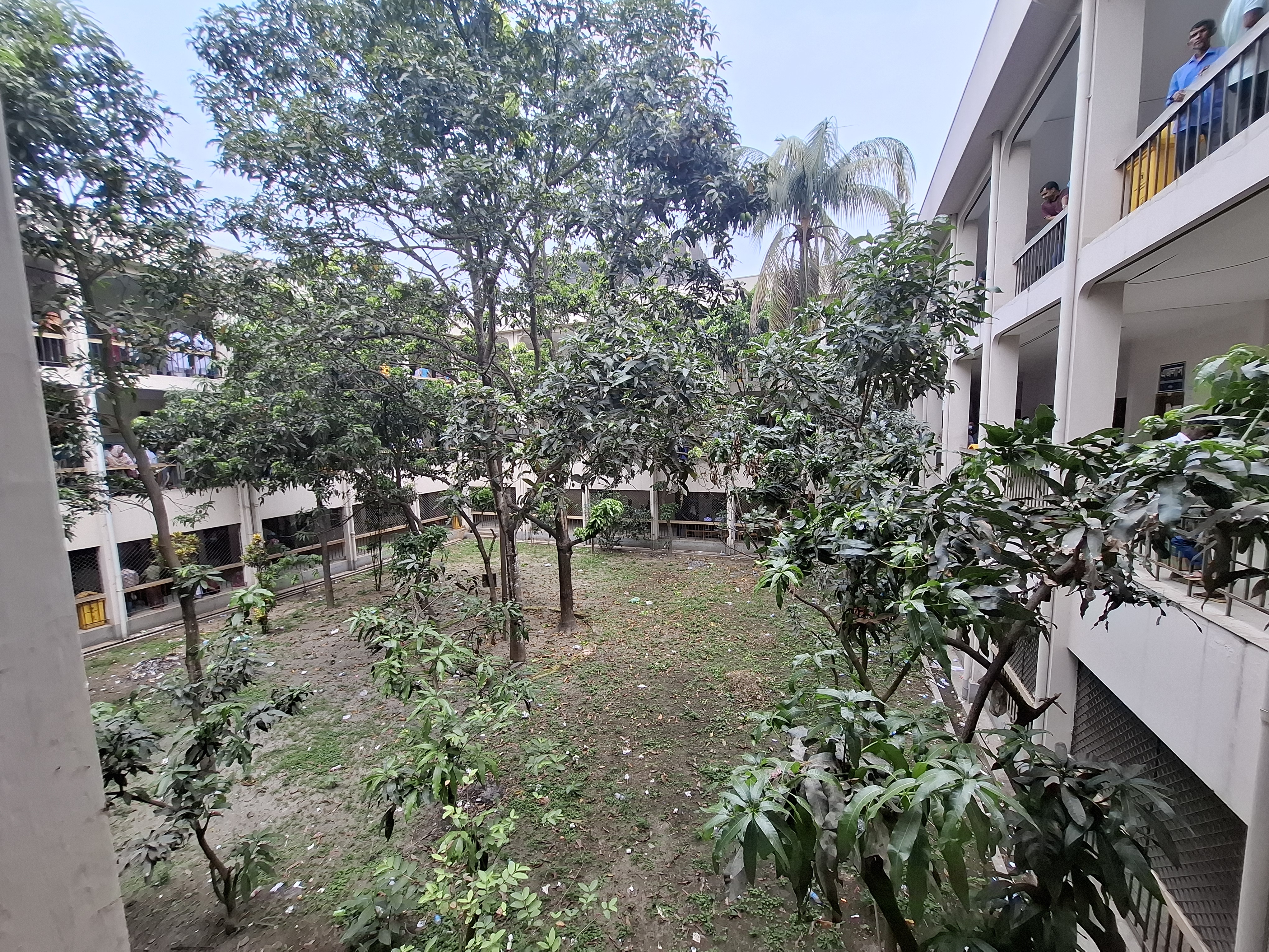 5560.jpg