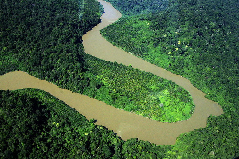 perambahan-di-pinggir-sungai-Alas-6.jpg