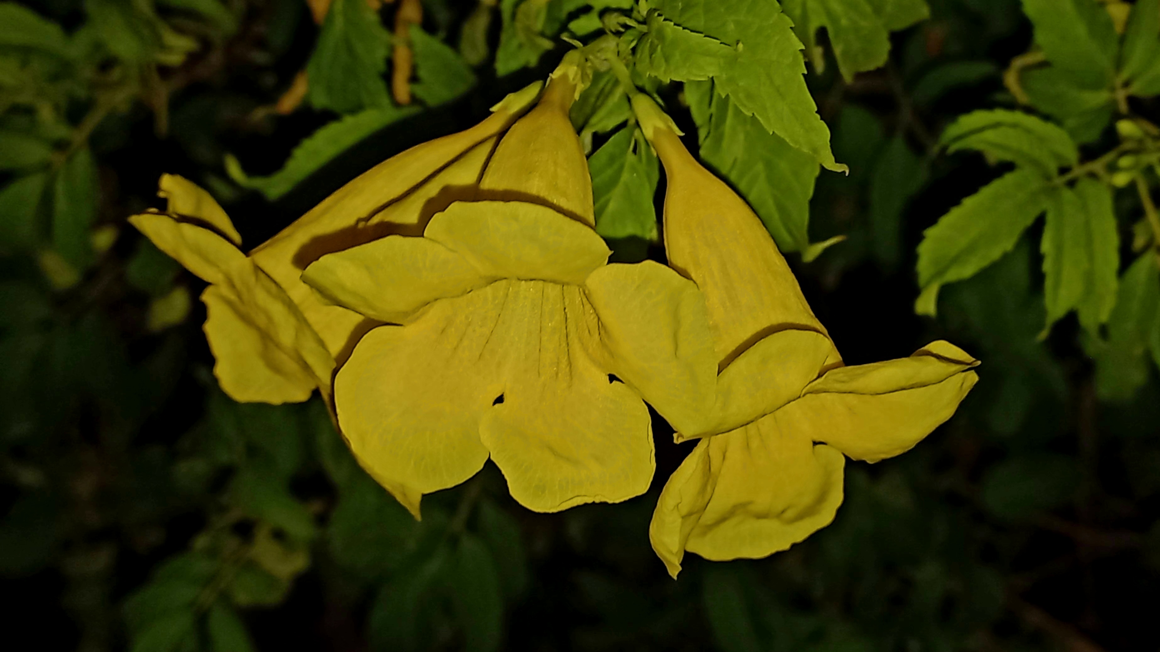 20241024_003557.jpg