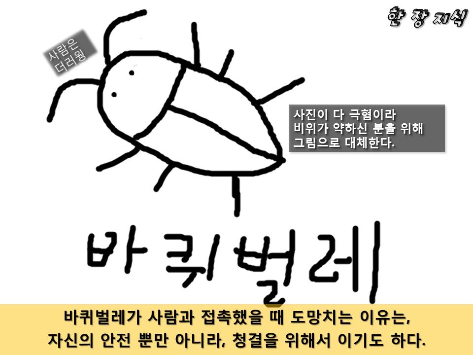 슬라이드71.JPG