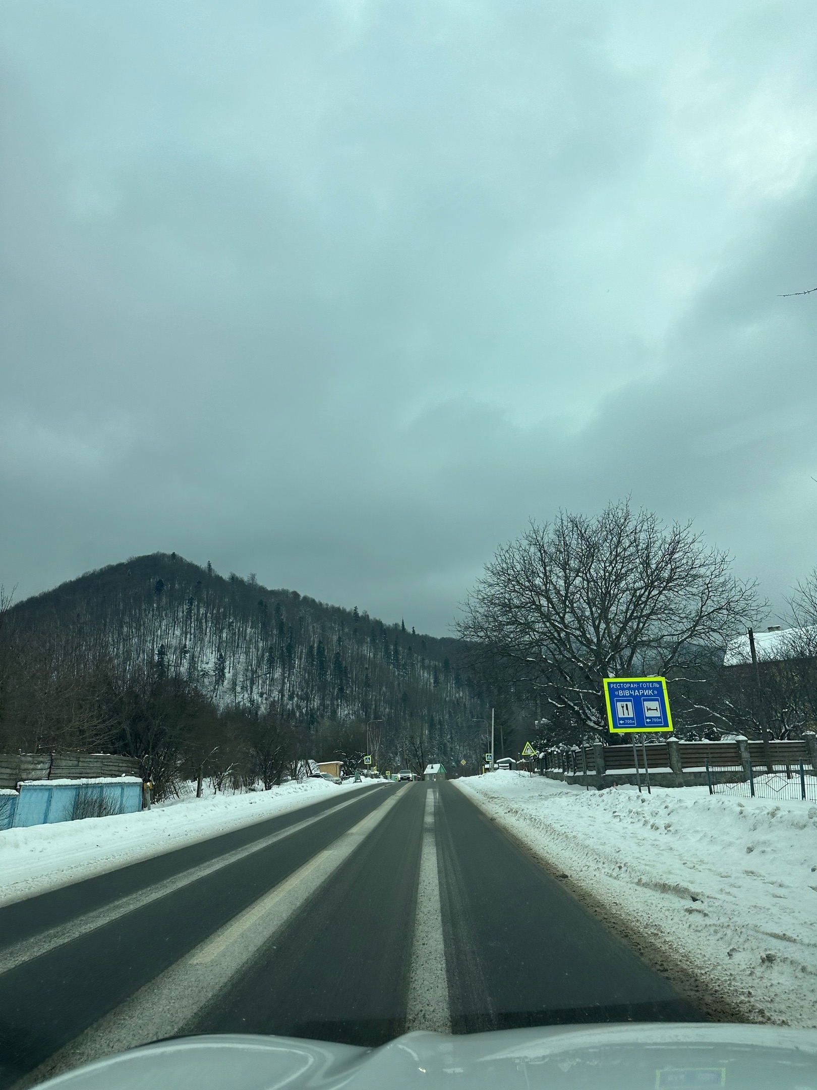 IMG_8473.jpeg