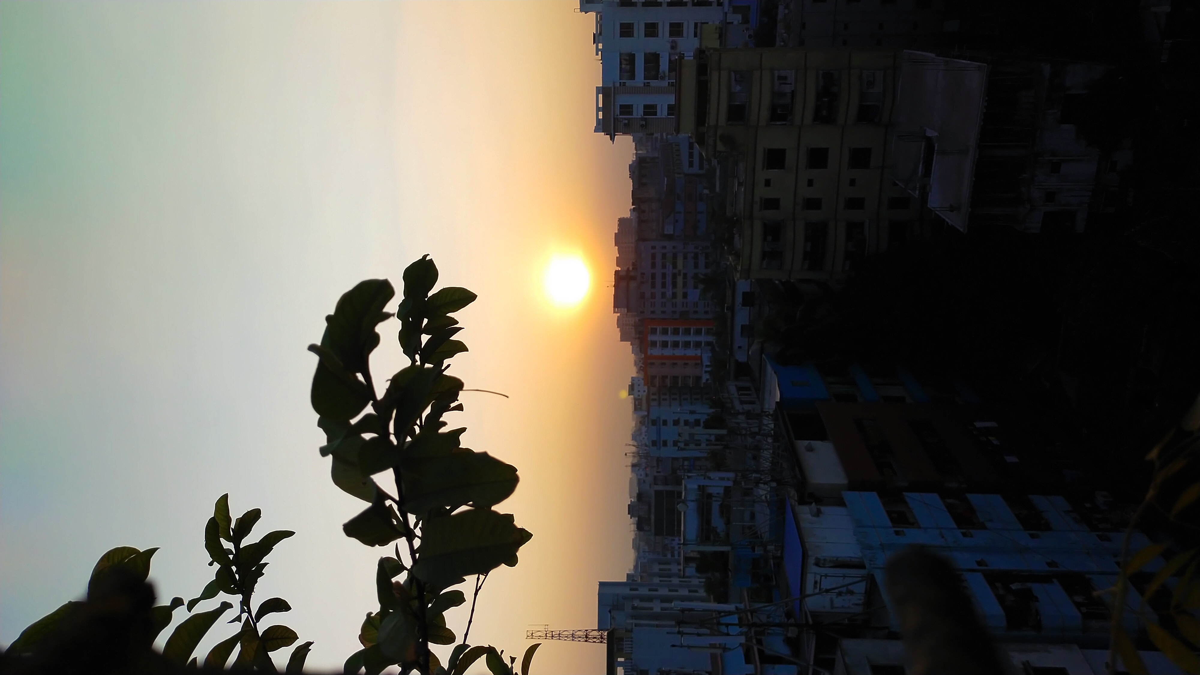 IMG_20211105_165513.jpg