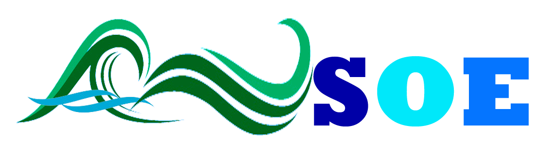 ansoe logo copy.png