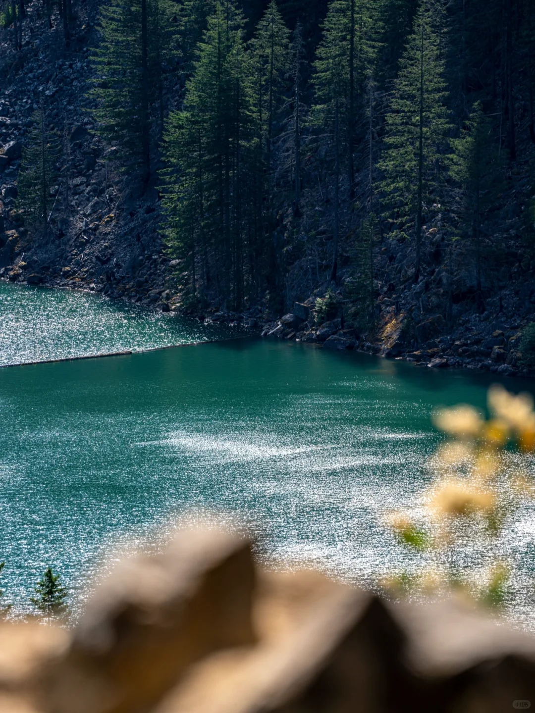 232.webp