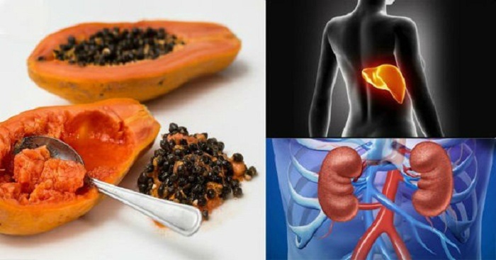 Start-Eating-Papaya-Seeds-Right-Now-–-There-Are-Magical-Cure-For-Gut-Liver-Kidney-Cancer-And….jpg