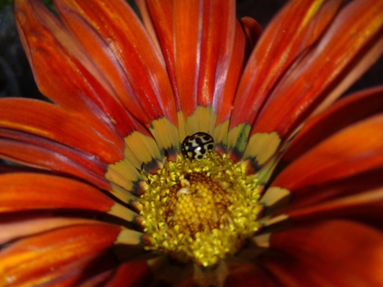 thumbnail_20180716_145115.jpg