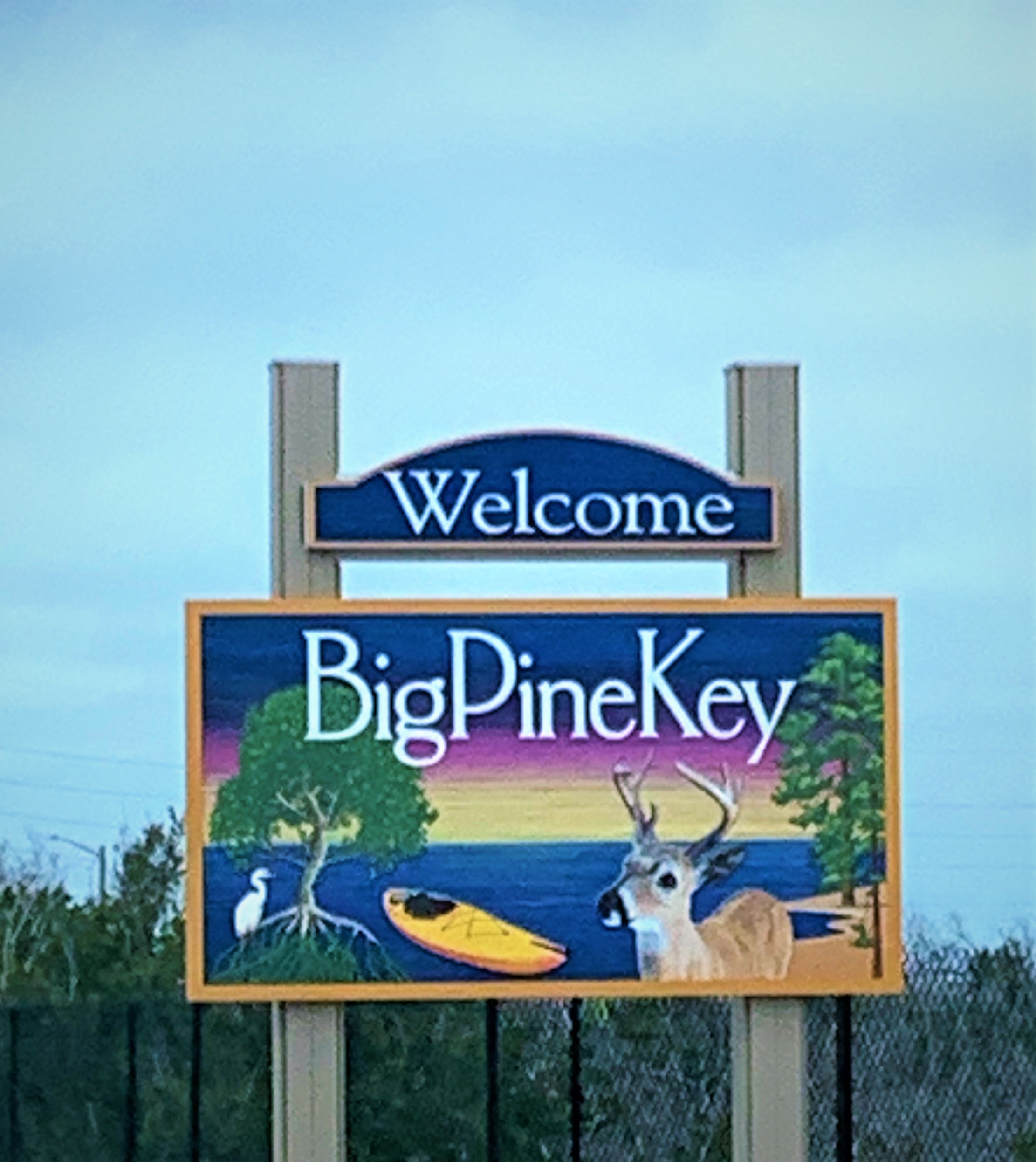 IMG_2518 (2).jpg