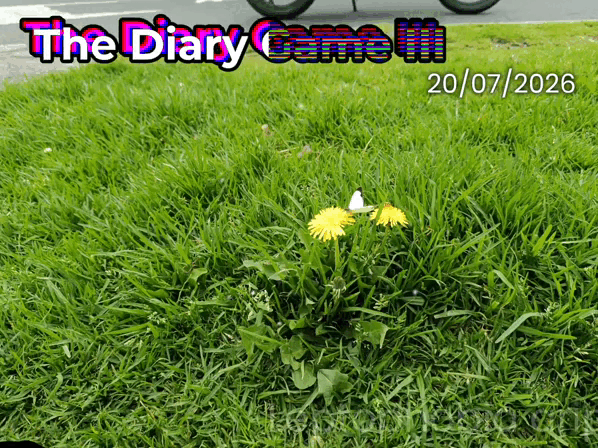 119263.gif