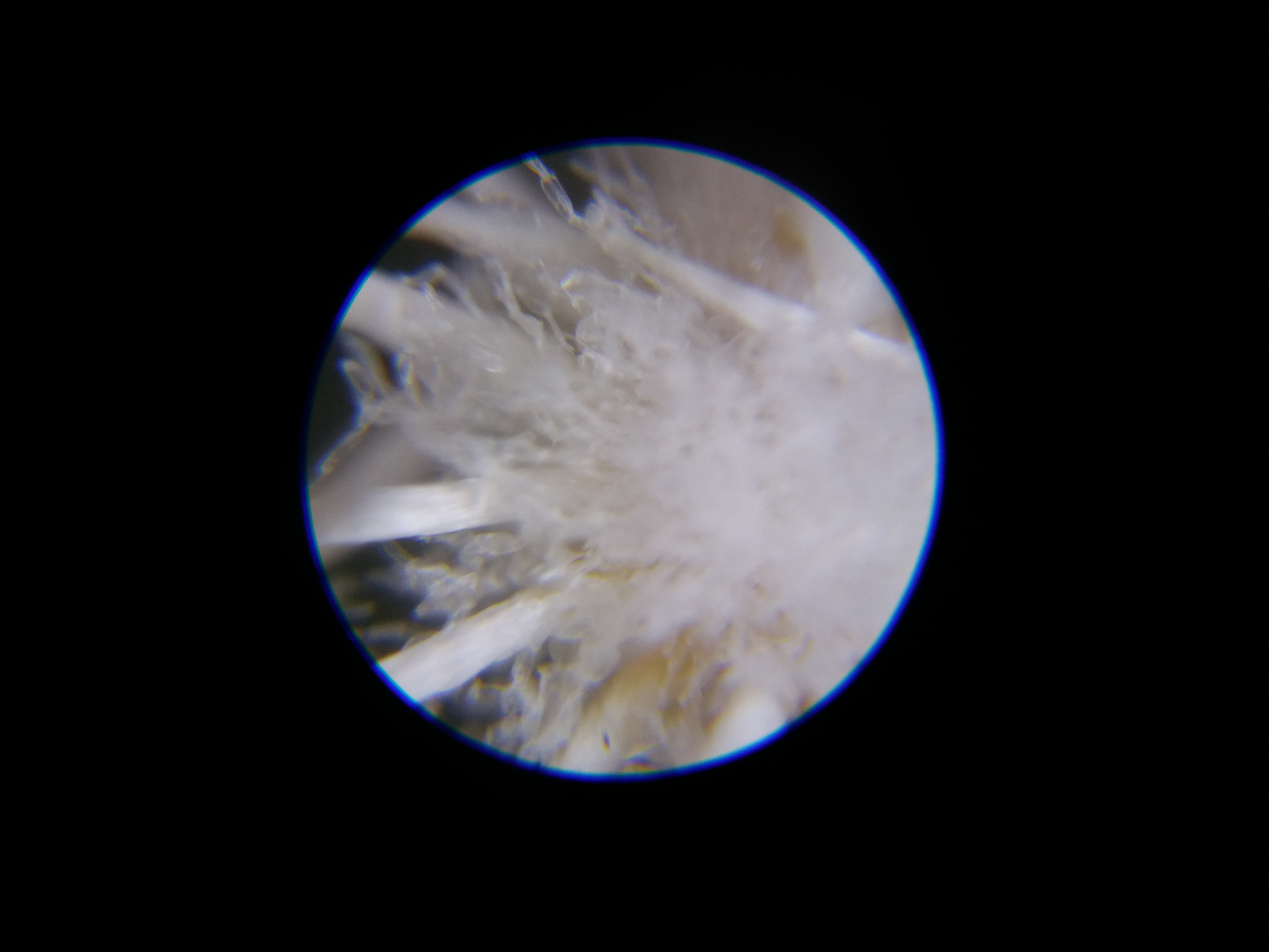 20180914_090931.jpg
