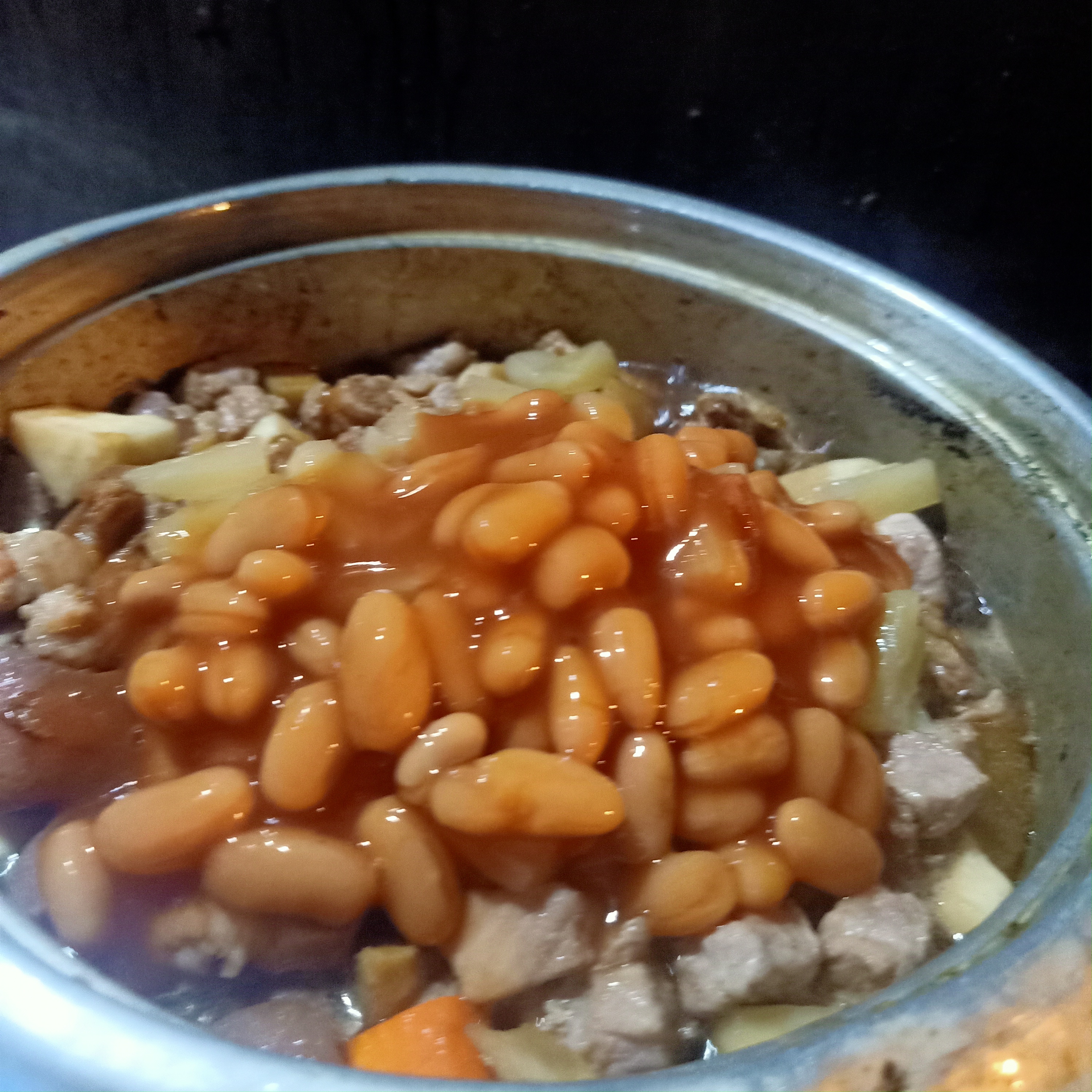 IMG20210404192047.jpg