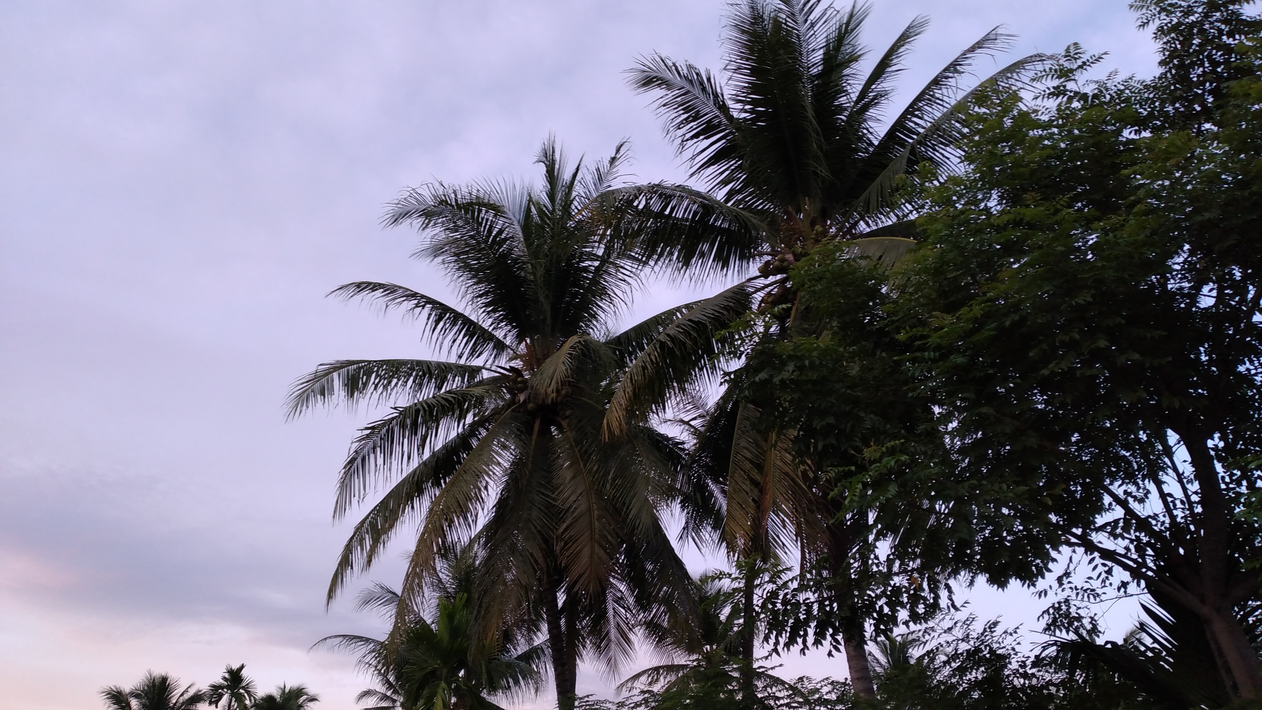 20220923_062252.jpg