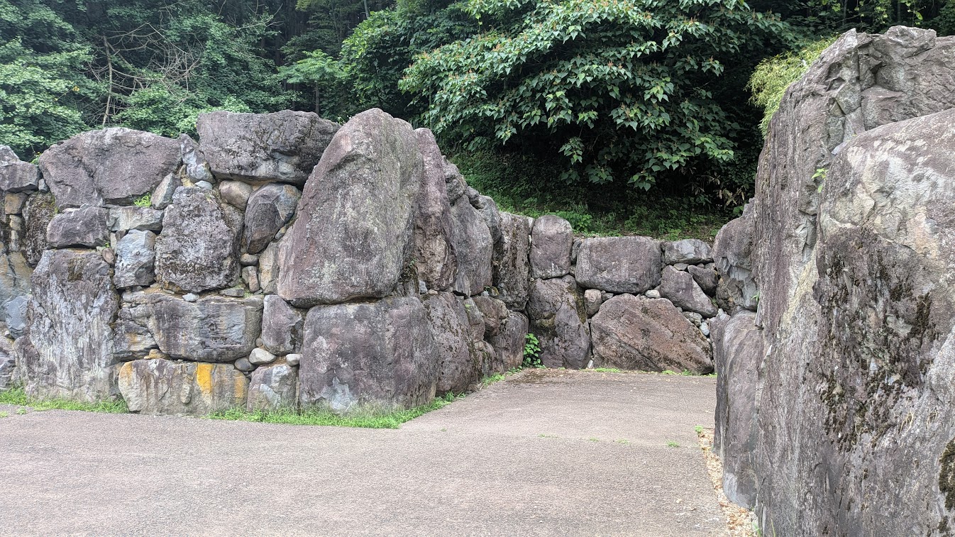 PXL_20260704_015849189.MP.jpg