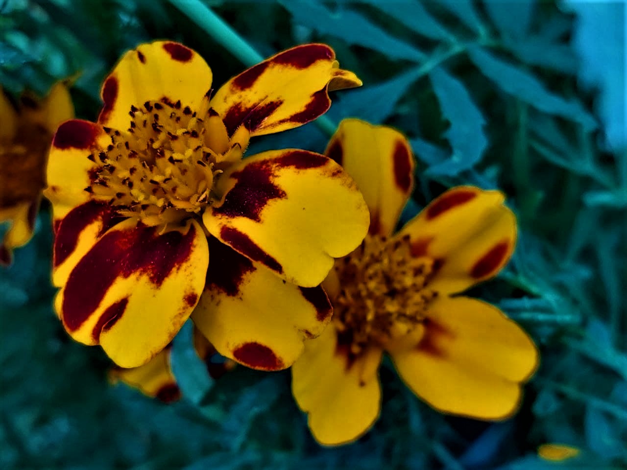 photo_2021-09-11_11-34-06 (2).jpg