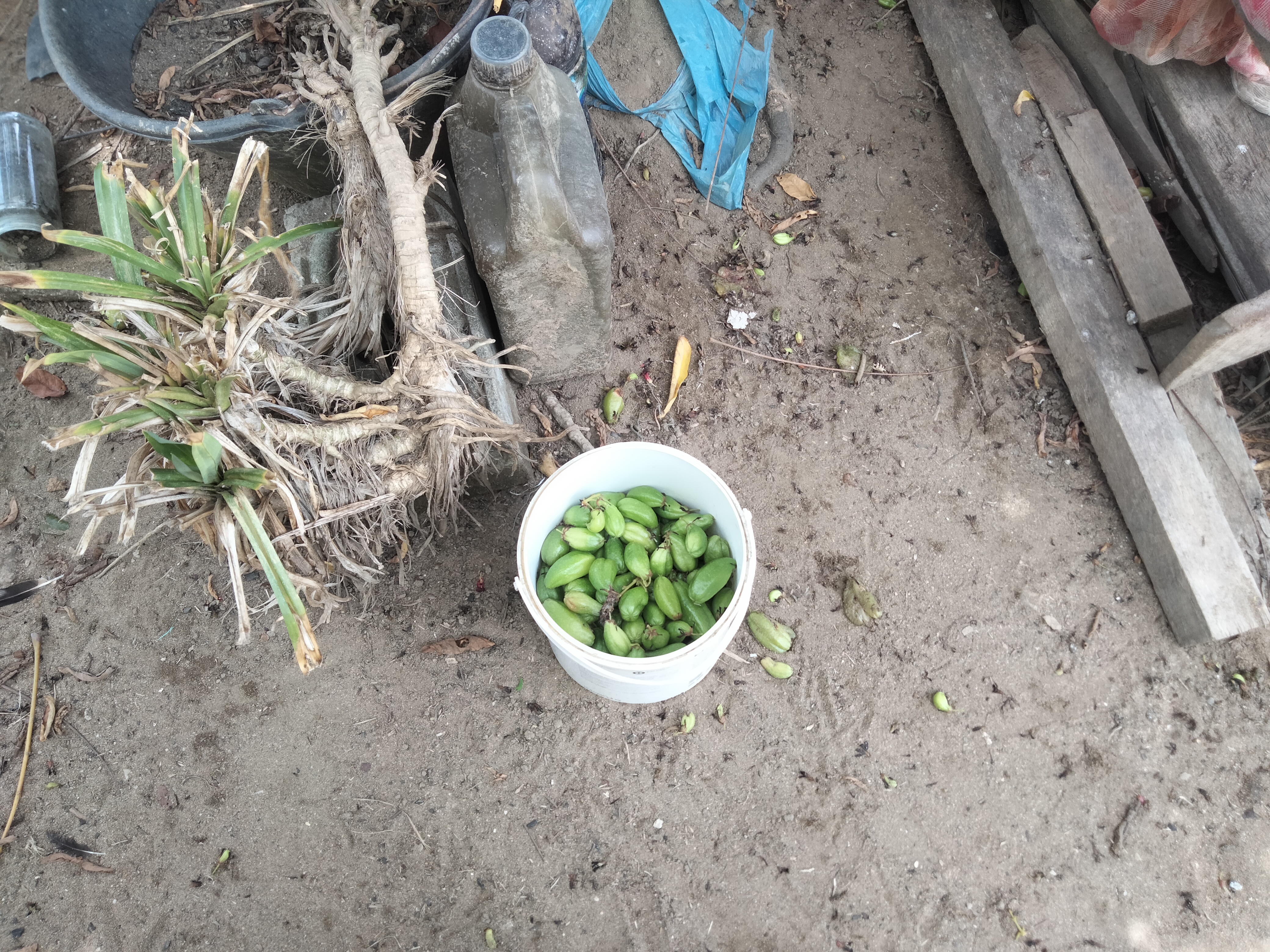 IMG20260918123154.jpg