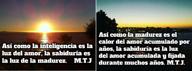 WhatsApp Image 2019-05-07 at 13.01.23 (1)xxxza.jpg