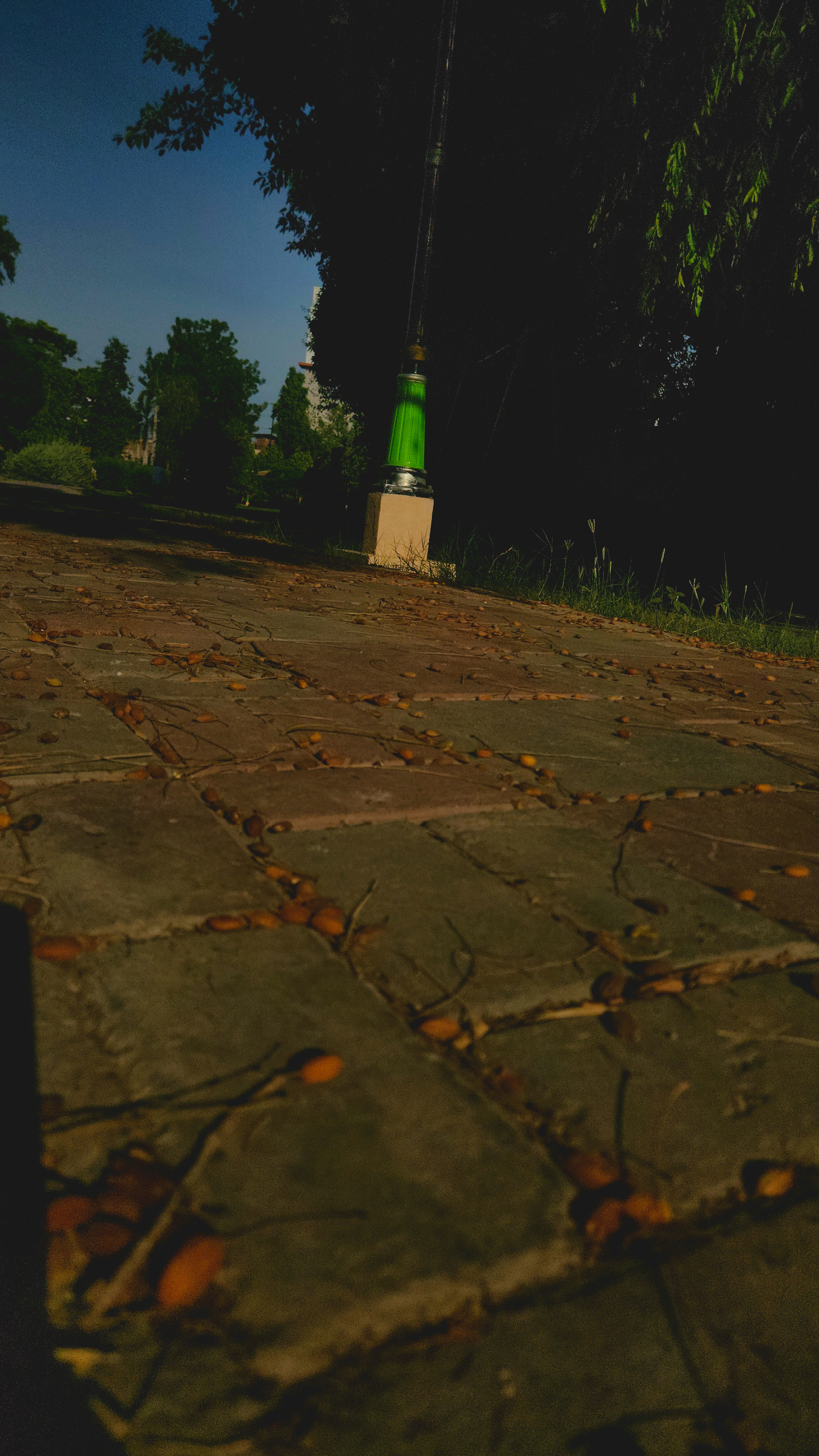 160649.jpg
