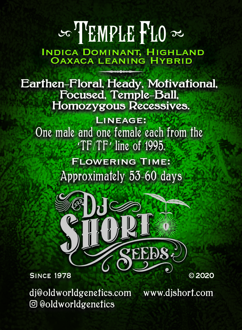 Temple Flo Card 2 Front.jpg