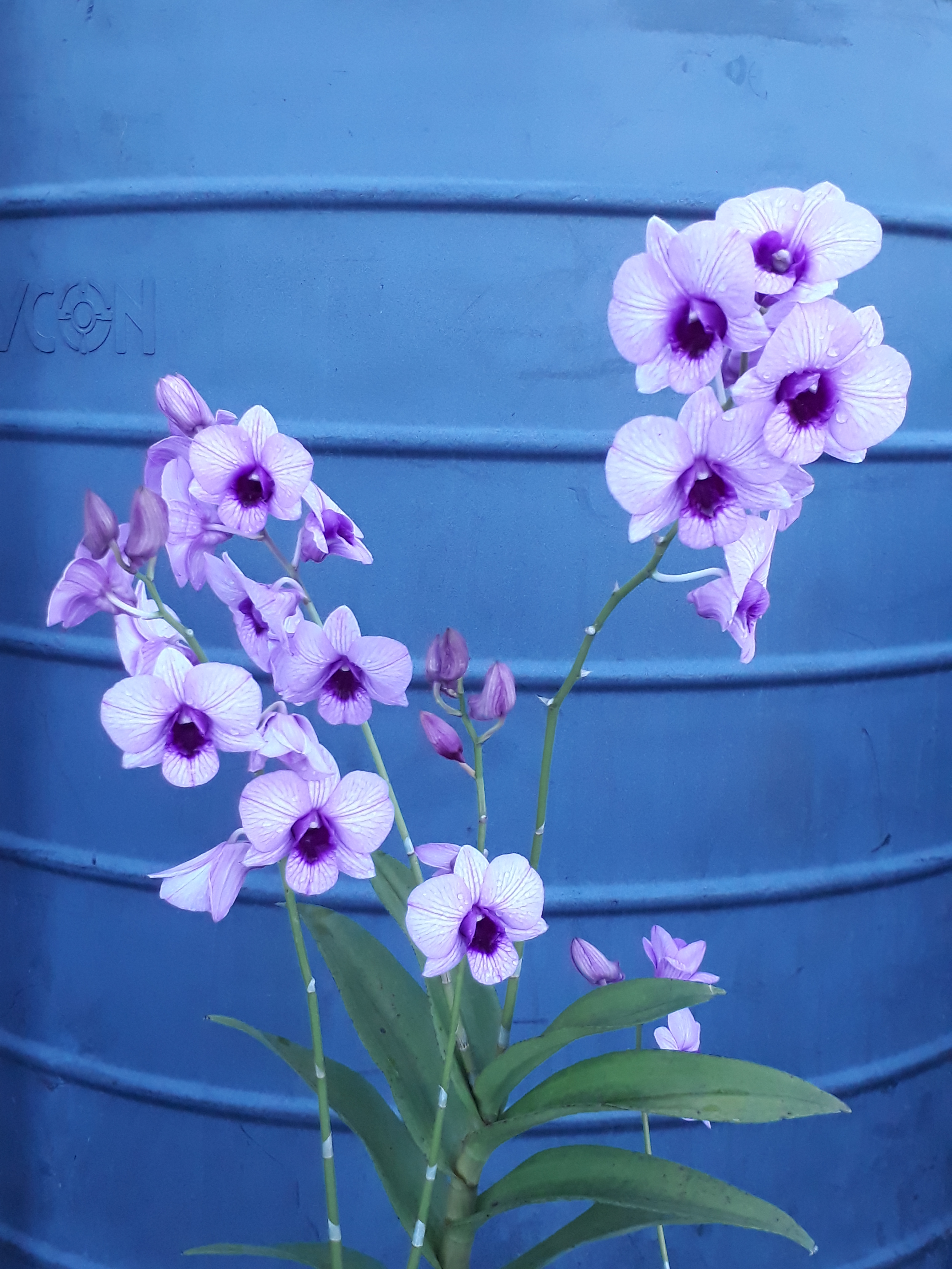 20170921_163017.jpg