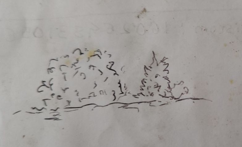 bush.jpg