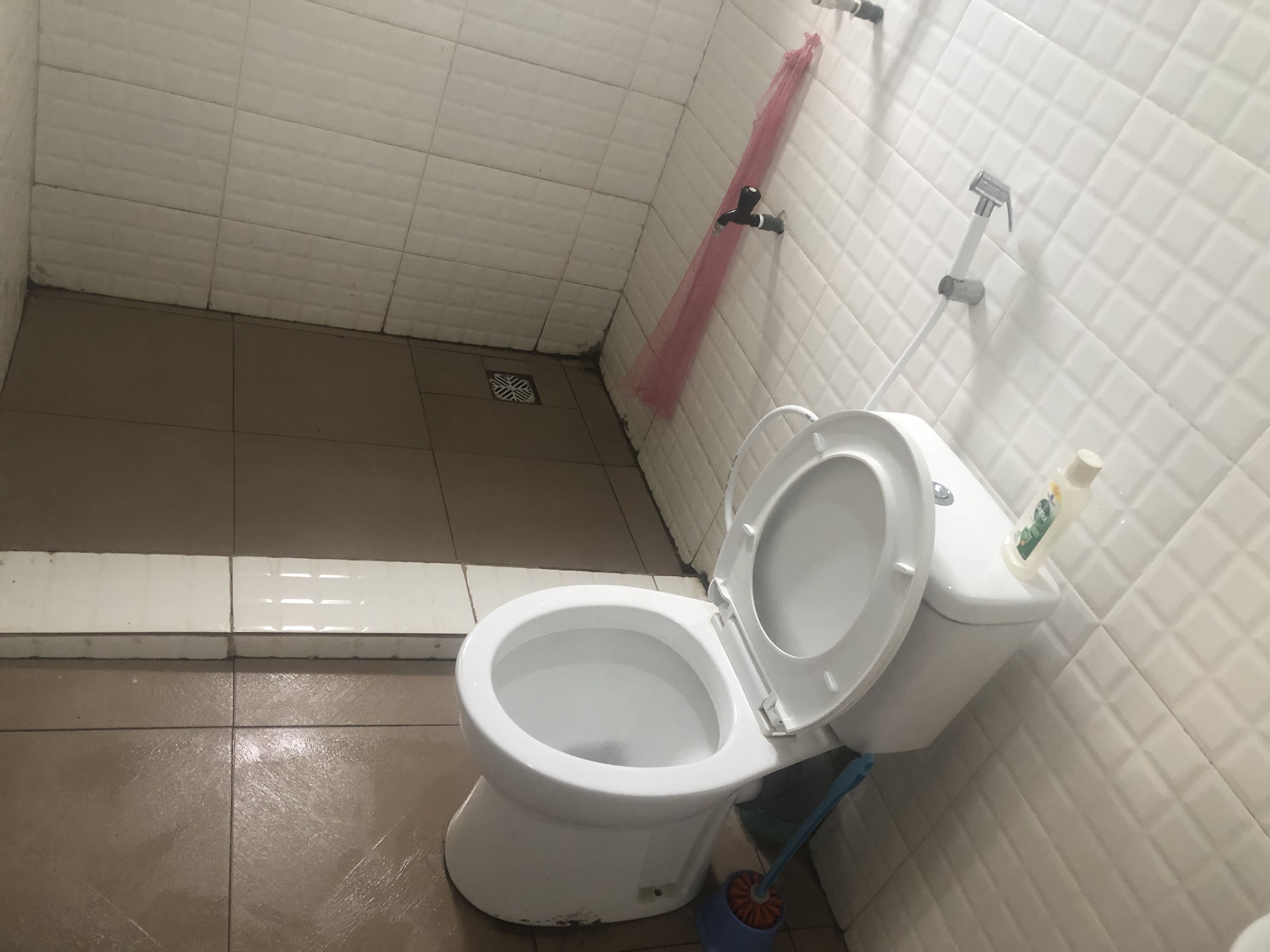 IMG_3331.jpeg