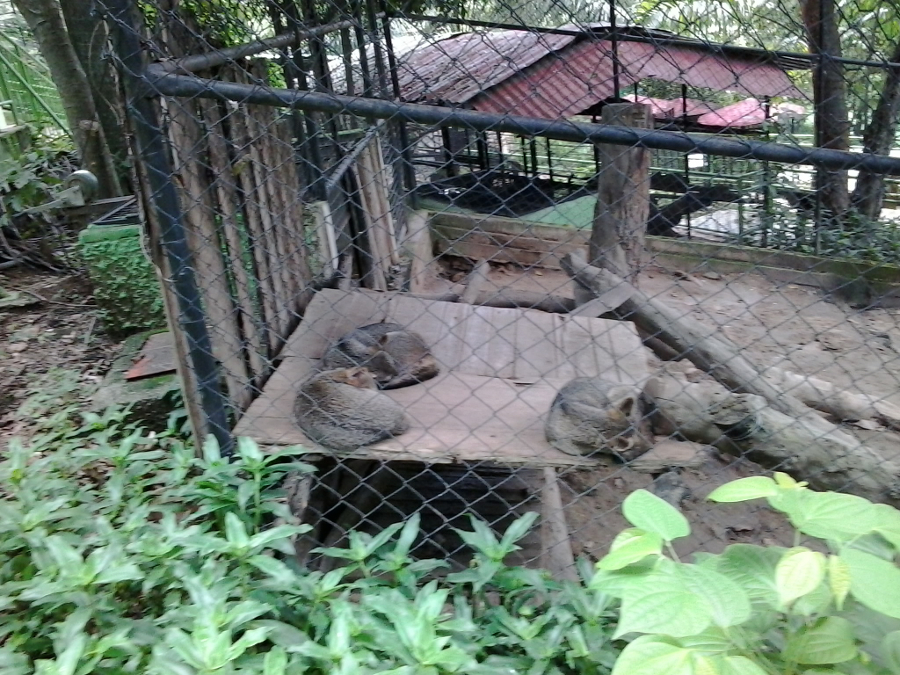 foto08.jpg