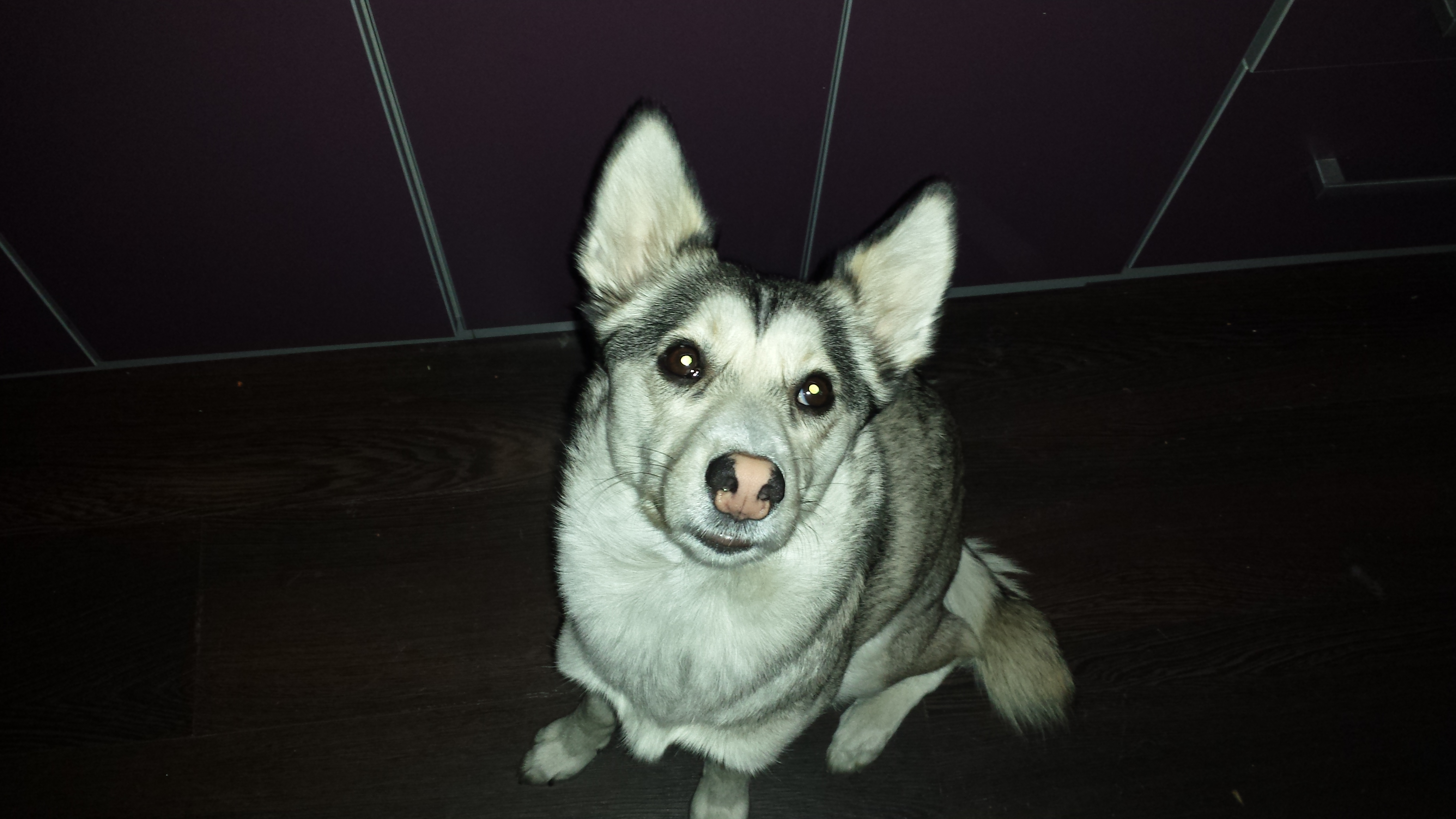 20180220_141924.jpg