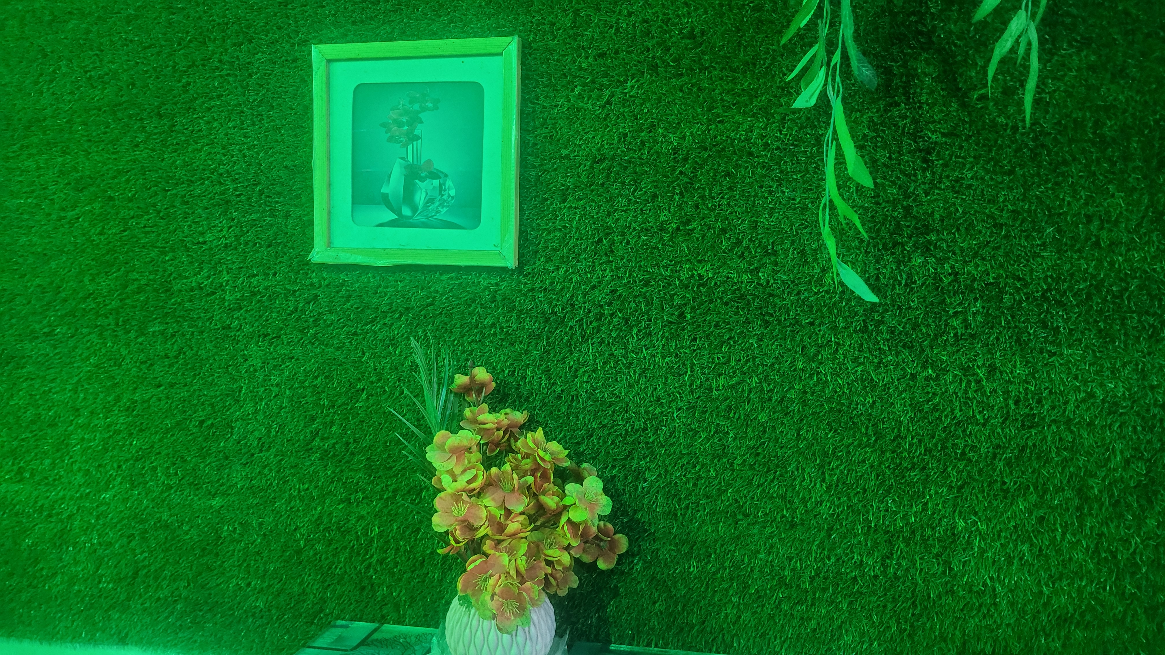 20251108_165636.jpg