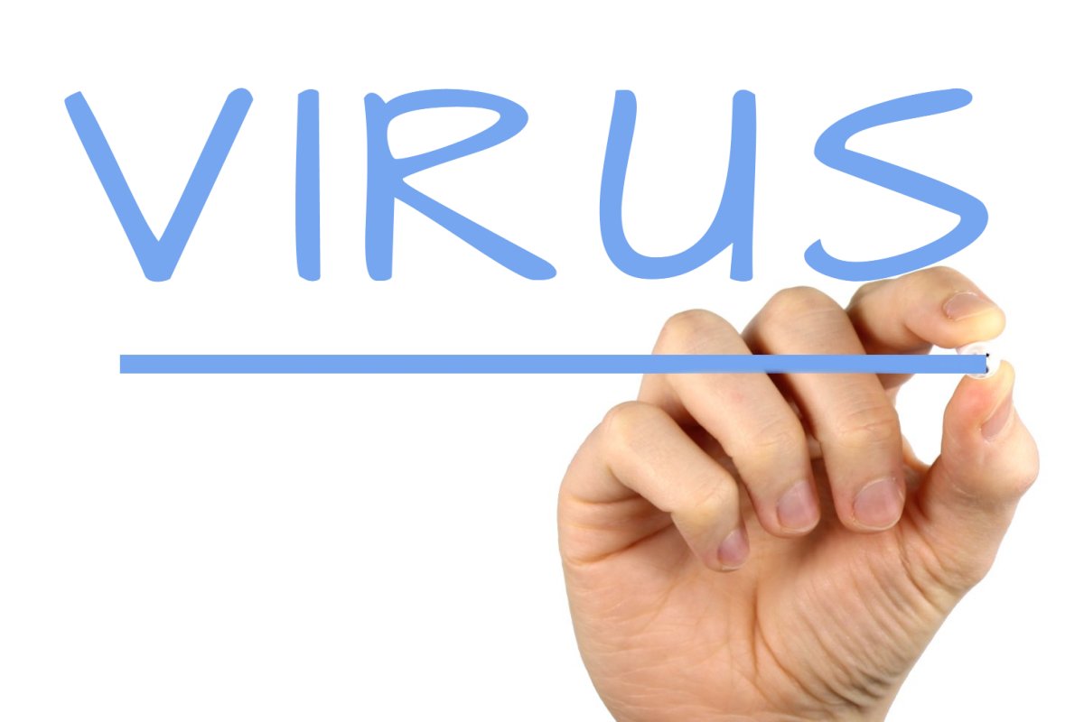 virus.jpg