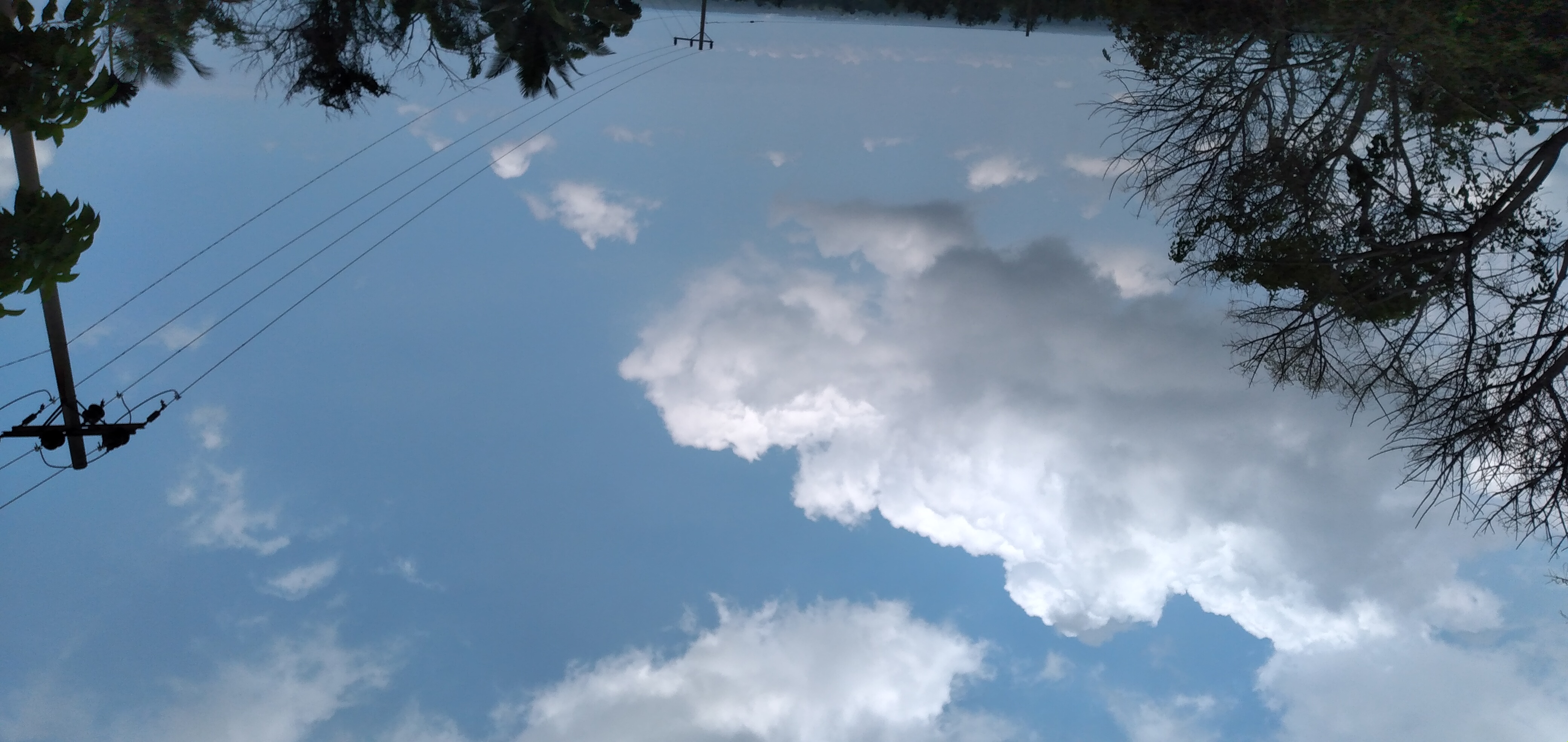20230329_122602.jpg