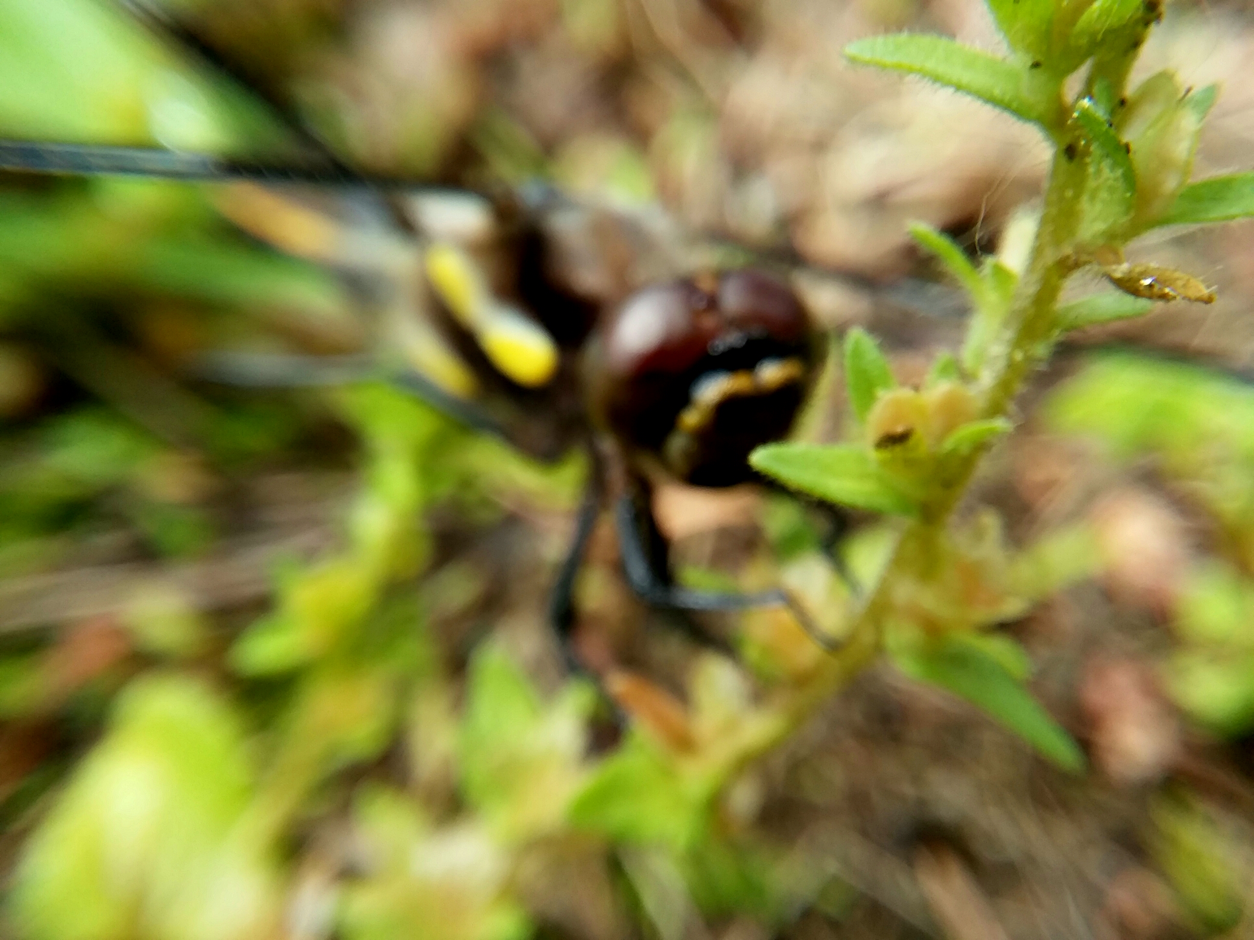 20190625_195704.jpg