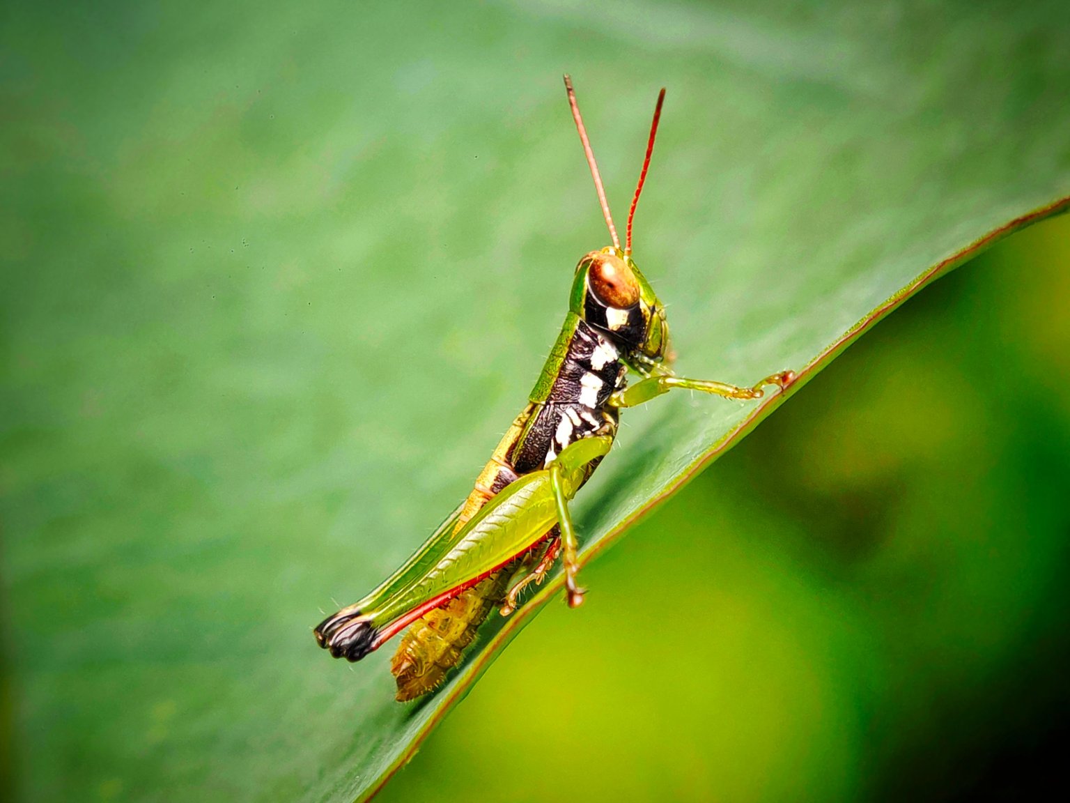 17835327027098166467086673464353.jpg