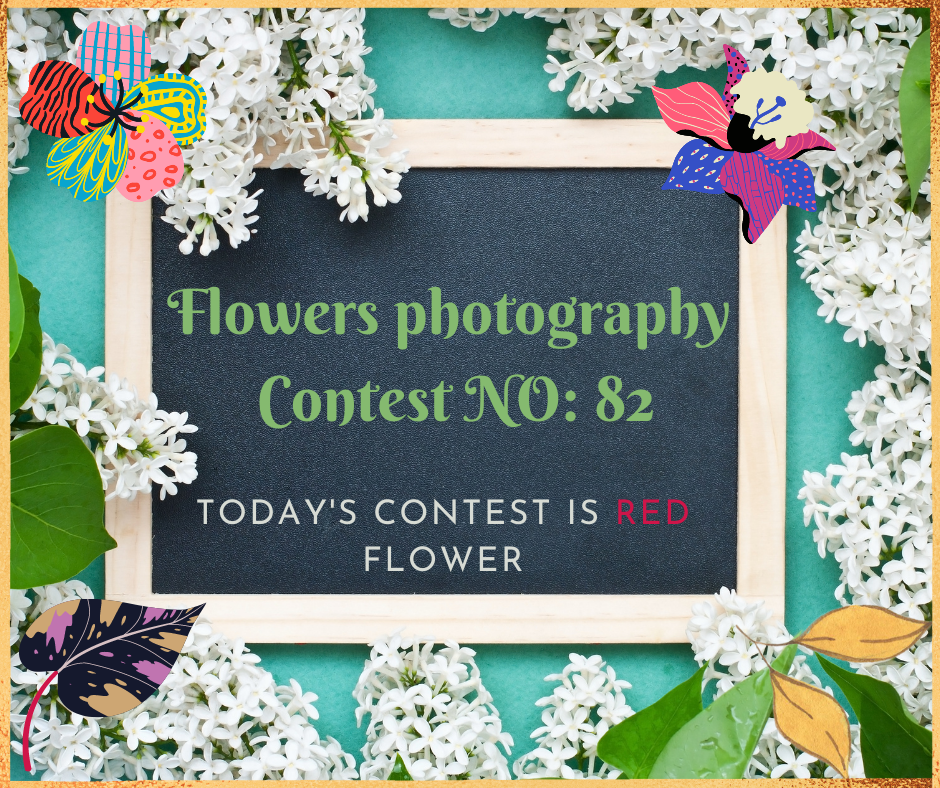 Flowers photography Contest.png