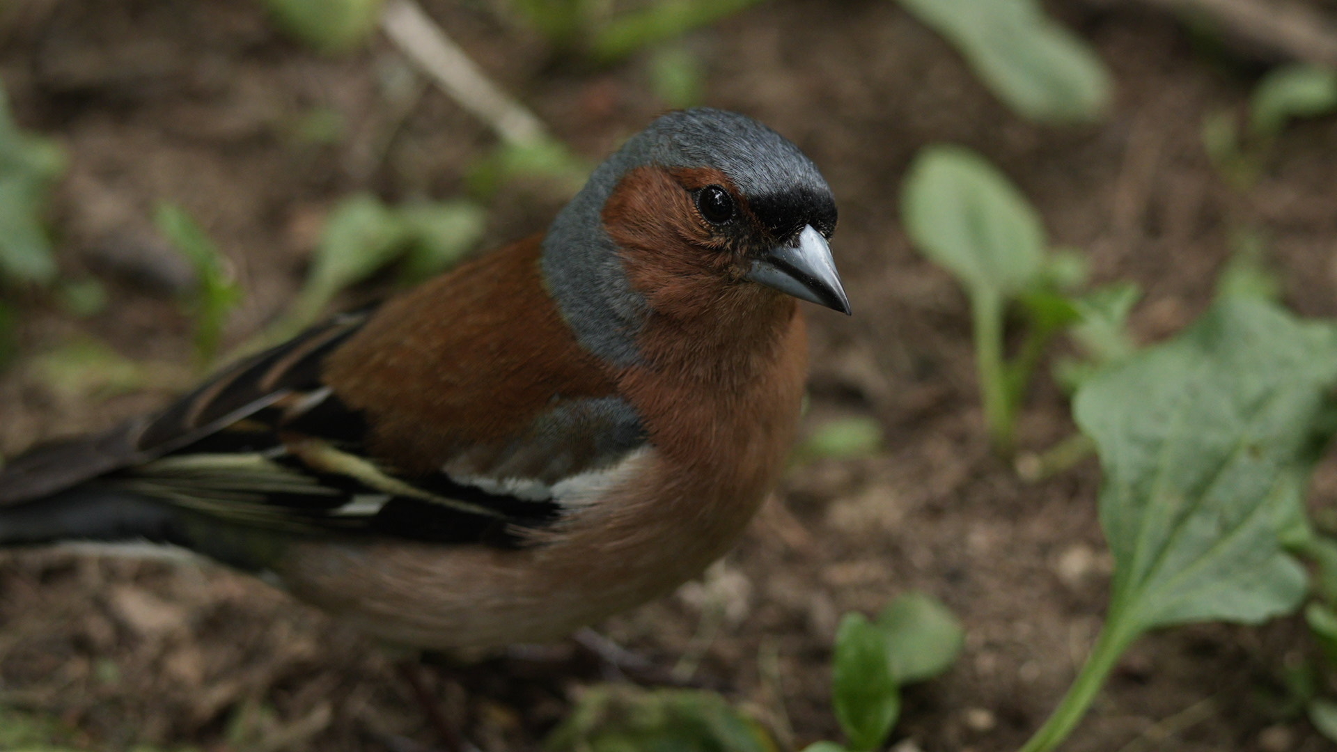 DSC07505.jpg