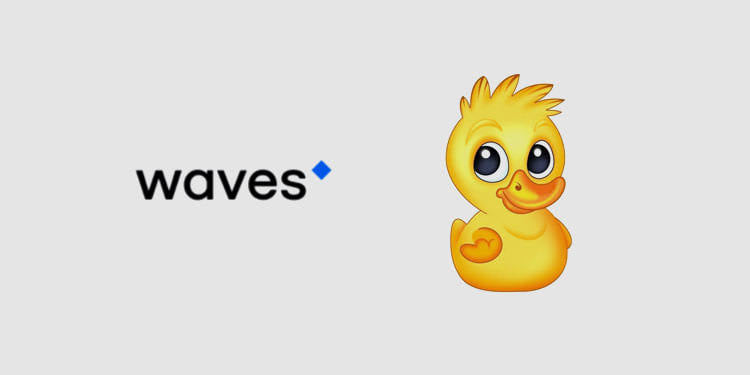 duck.jpg